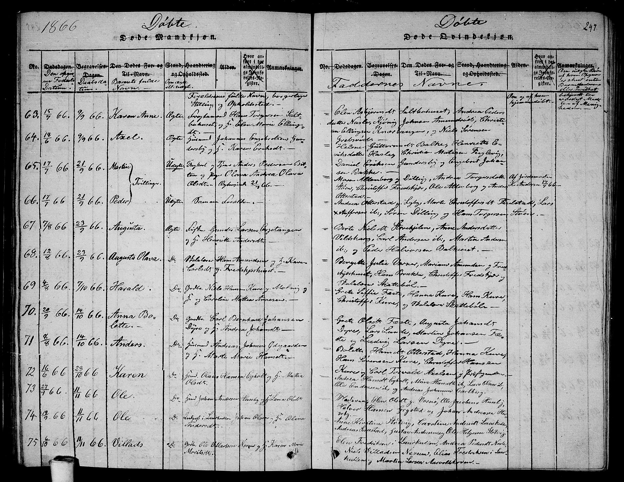Rygge prestekontor Kirkebøker, AV/SAO-A-10084b/G/Ga/L0001: Parish register (copy) no. 1, 1814-1871, p. 246-247