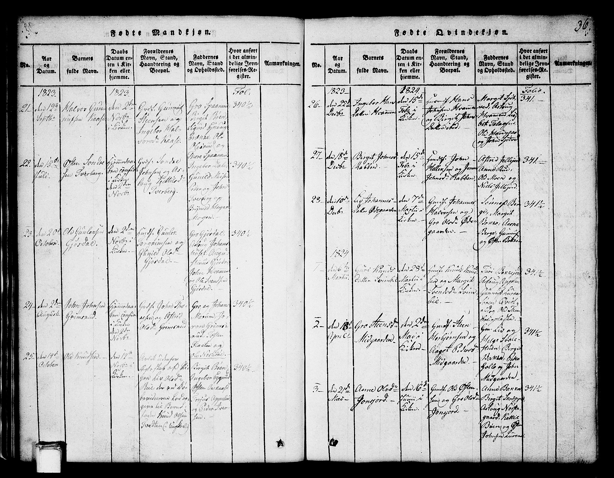 Tinn kirkebøker, SAKO/A-308/G/Ga/L0001: Parish register (copy) no. I 1, 1815-1850, p. 36
