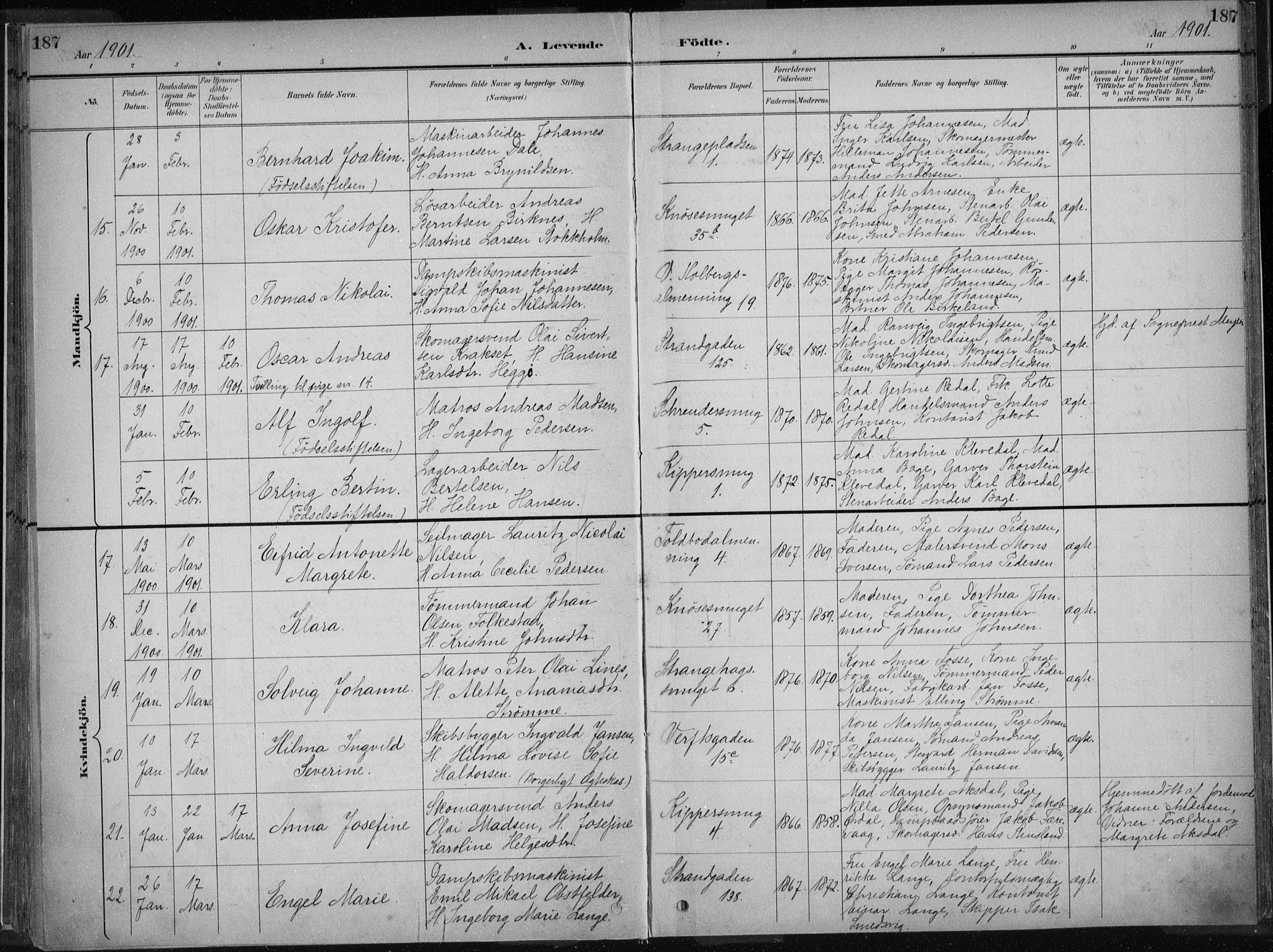 Nykirken Sokneprestembete, AV/SAB-A-77101/H/Haa/L0018: Parish register (official) no. B 6, 1895-1903, p. 187