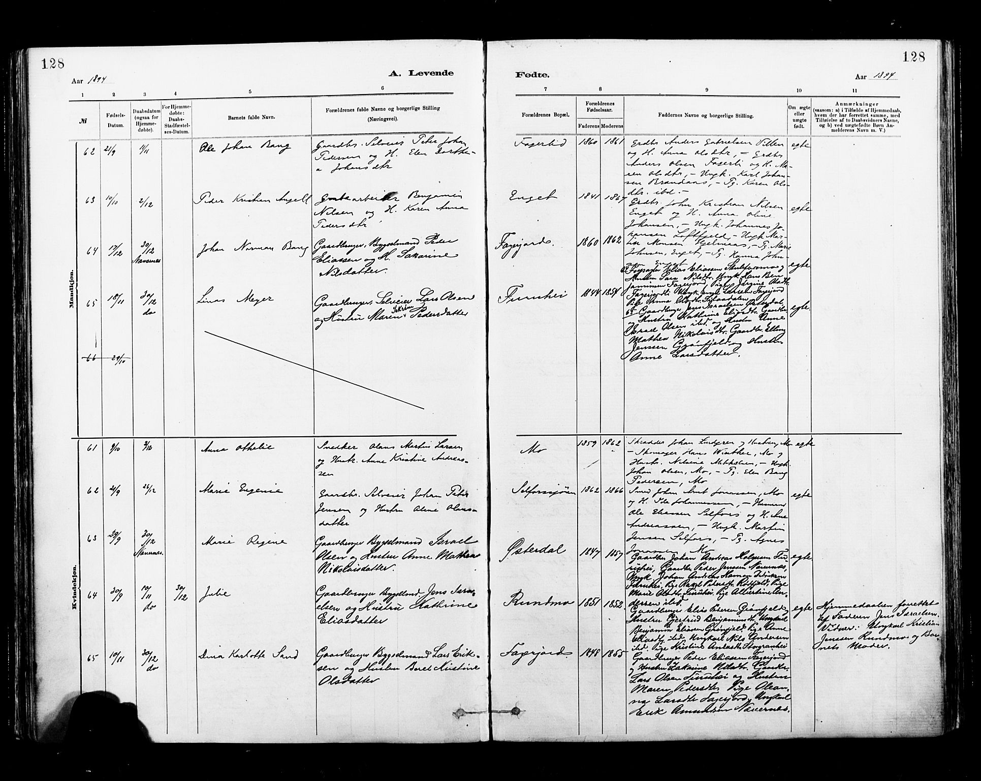 Ministerialprotokoller, klokkerbøker og fødselsregistre - Nordland, AV/SAT-A-1459/827/L0400: Parish register (official) no. 827A12, 1883-1903, p. 128