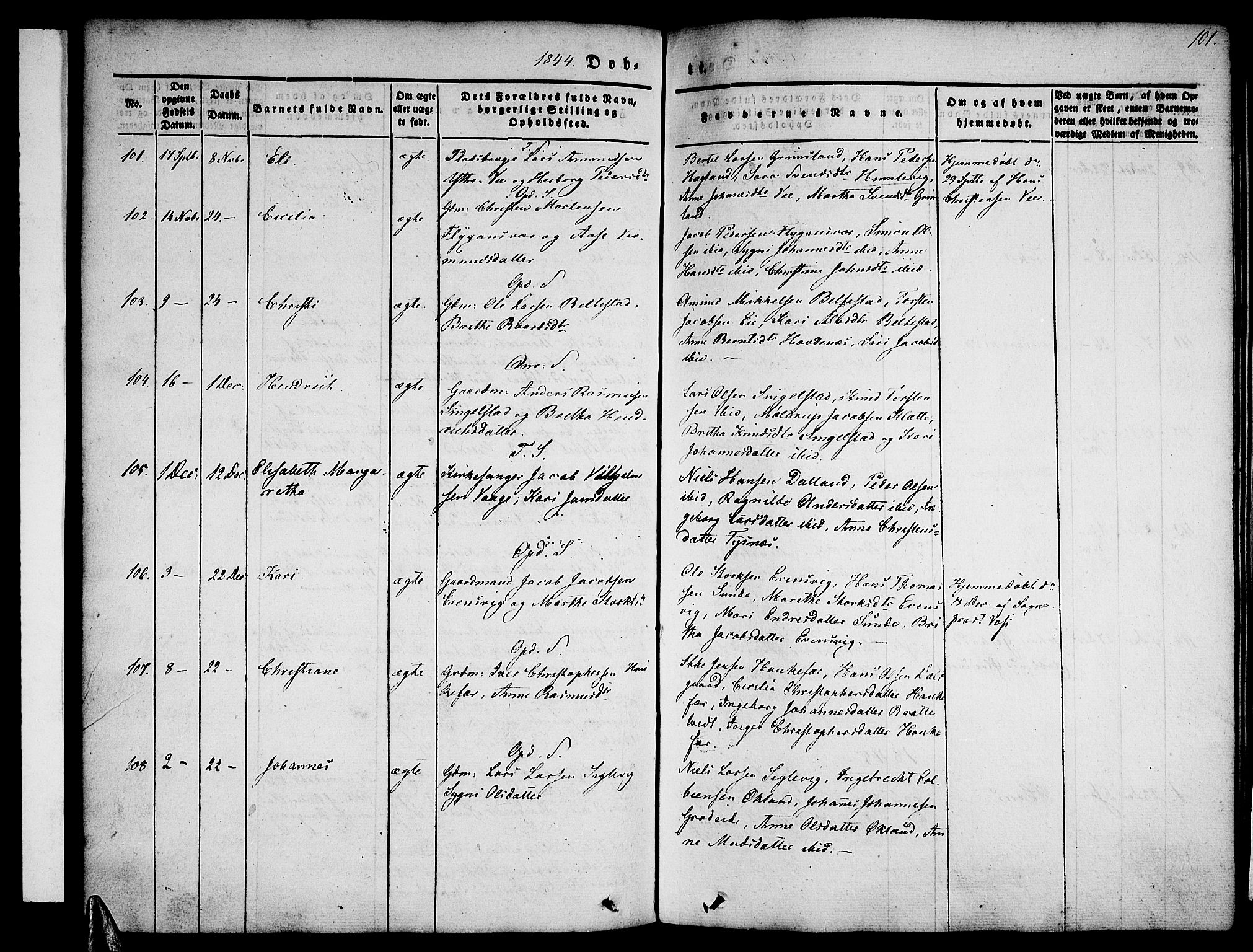 Tysnes sokneprestembete, AV/SAB-A-78601/H/Haa: Parish register (official) no. A 9, 1837-1848, p. 101