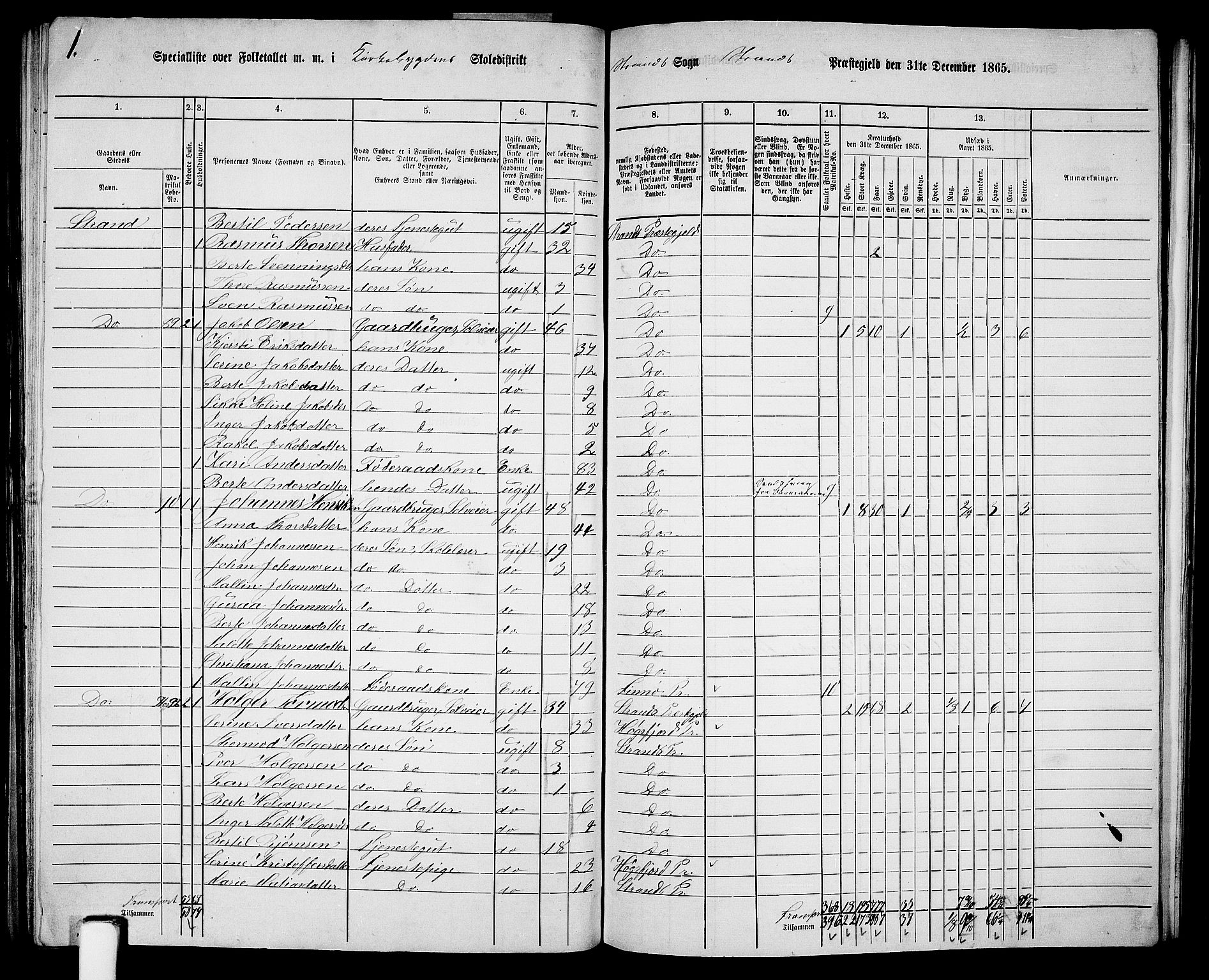 RA, 1865 census for Strand, 1865, p. 53