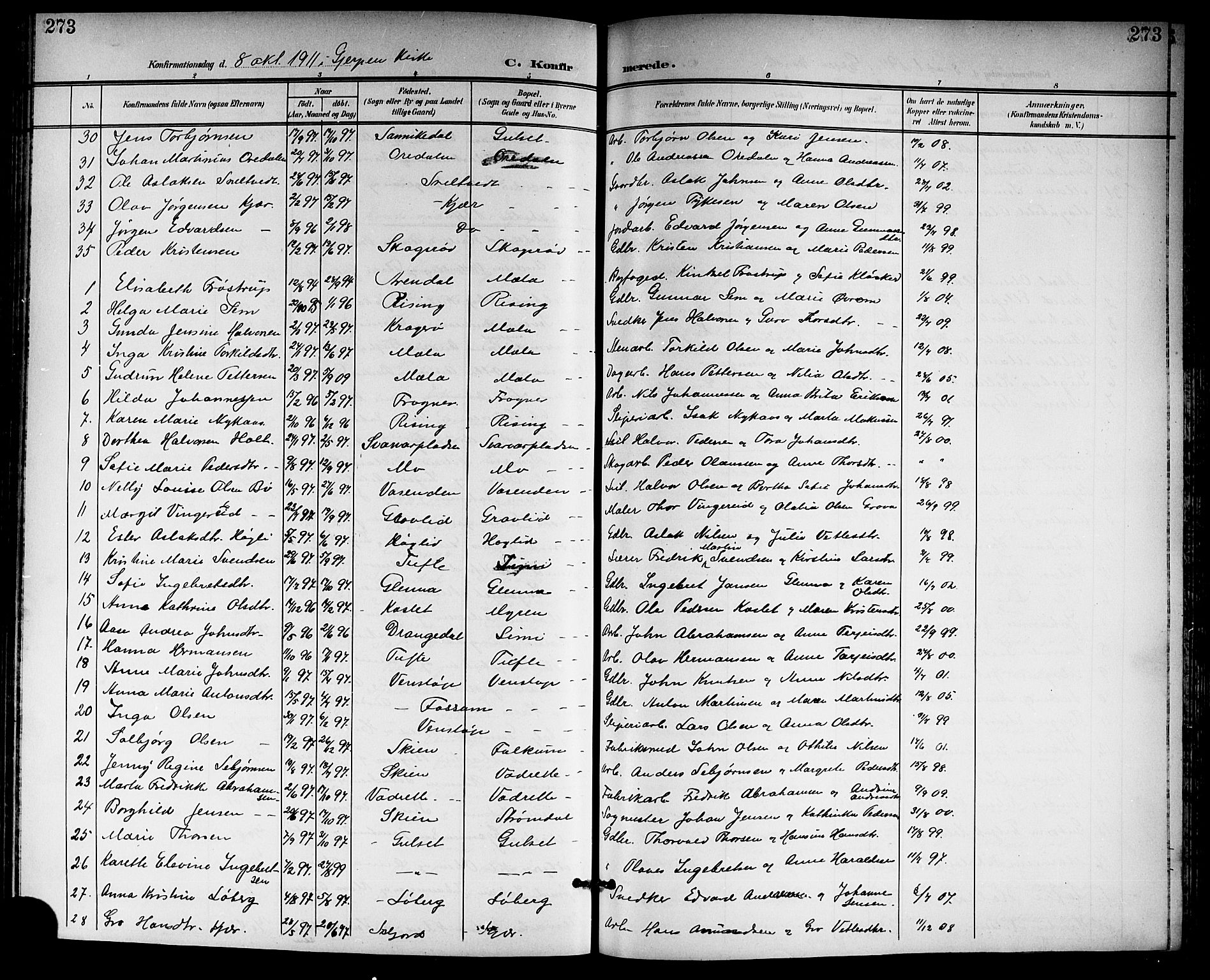 Gjerpen kirkebøker, SAKO/A-265/G/Ga/L0003: Parish register (copy) no. I 3, 1901-1919, p. 273