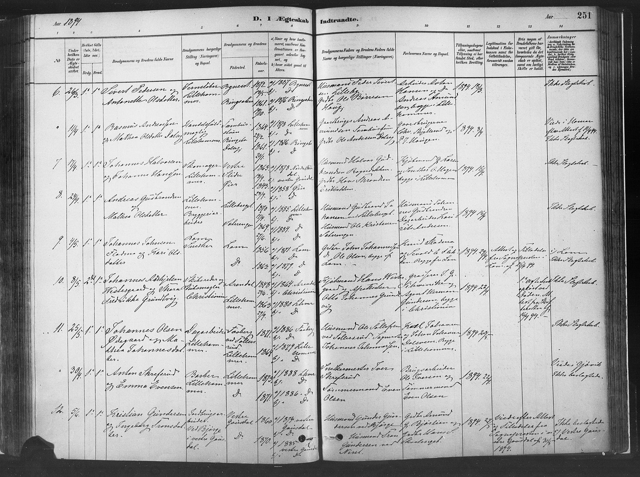 Fåberg prestekontor, SAH/PREST-086/H/Ha/Haa/L0010: Parish register (official) no. 10, 1879-1900, p. 251