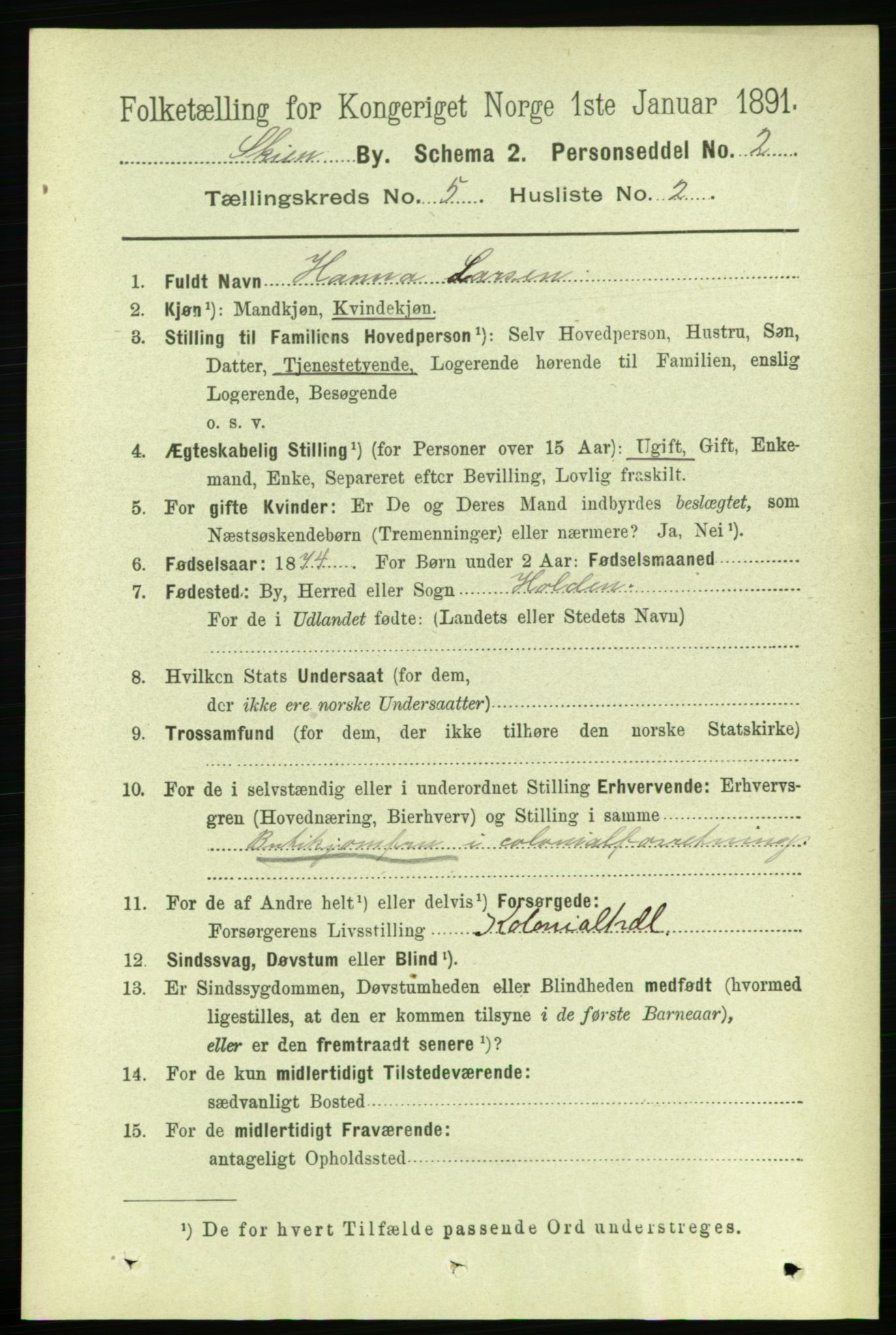 RA, 1891 census for 0806 Skien, 1891, p. 2890