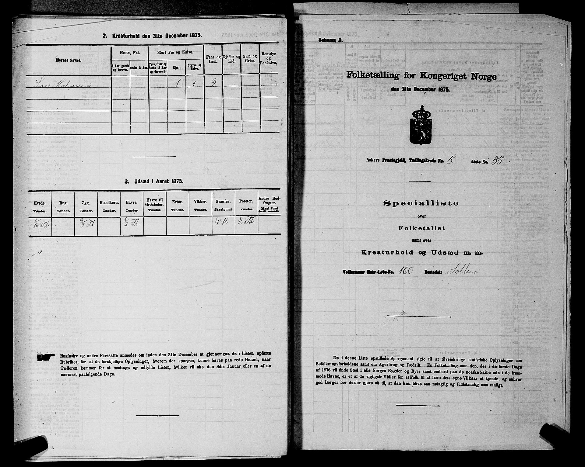 RA, 1875 census for 0220P Asker, 1875, p. 1148