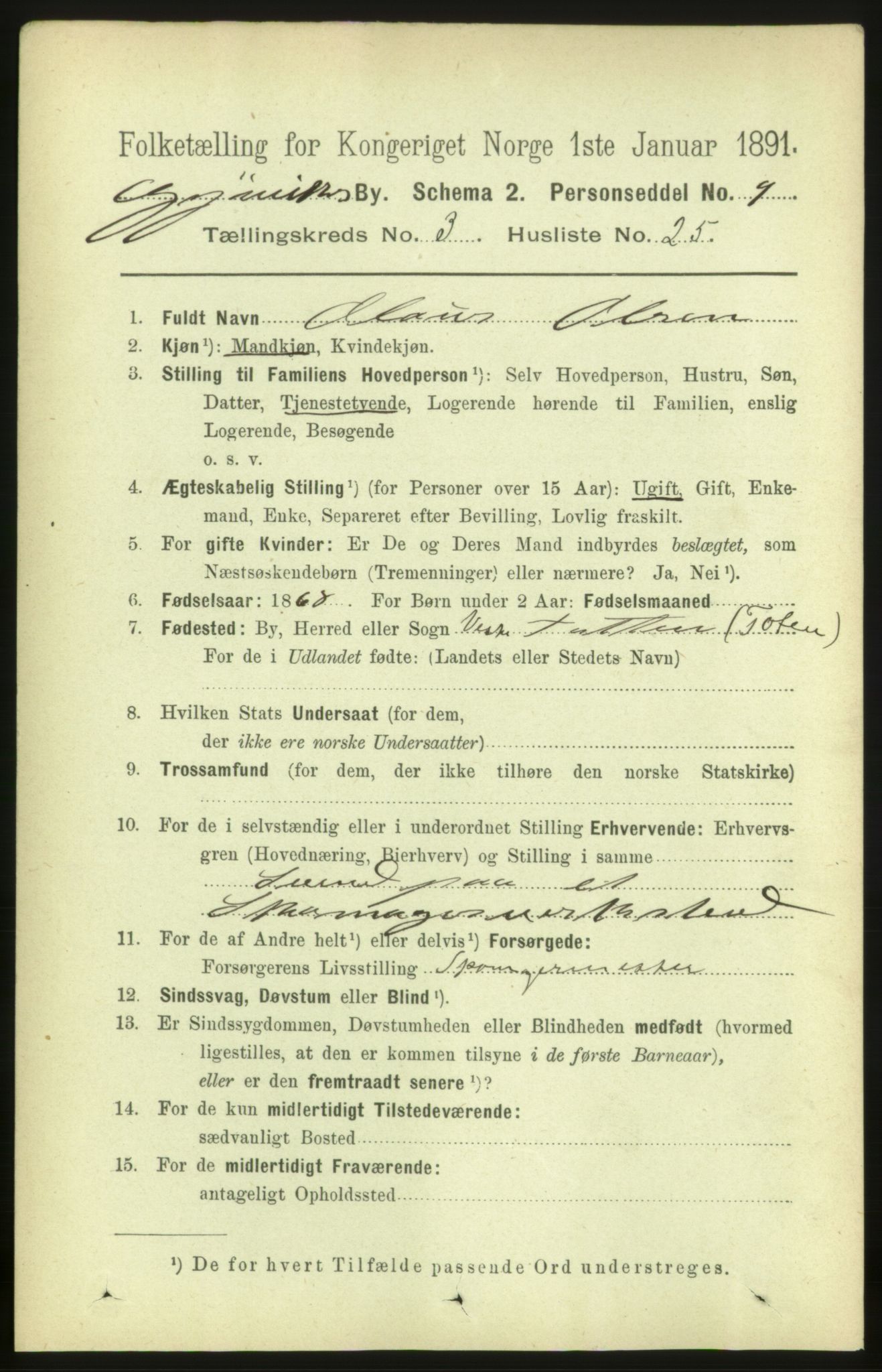 RA, 1891 census for 0502 Gjøvik, 1891, p. 1376