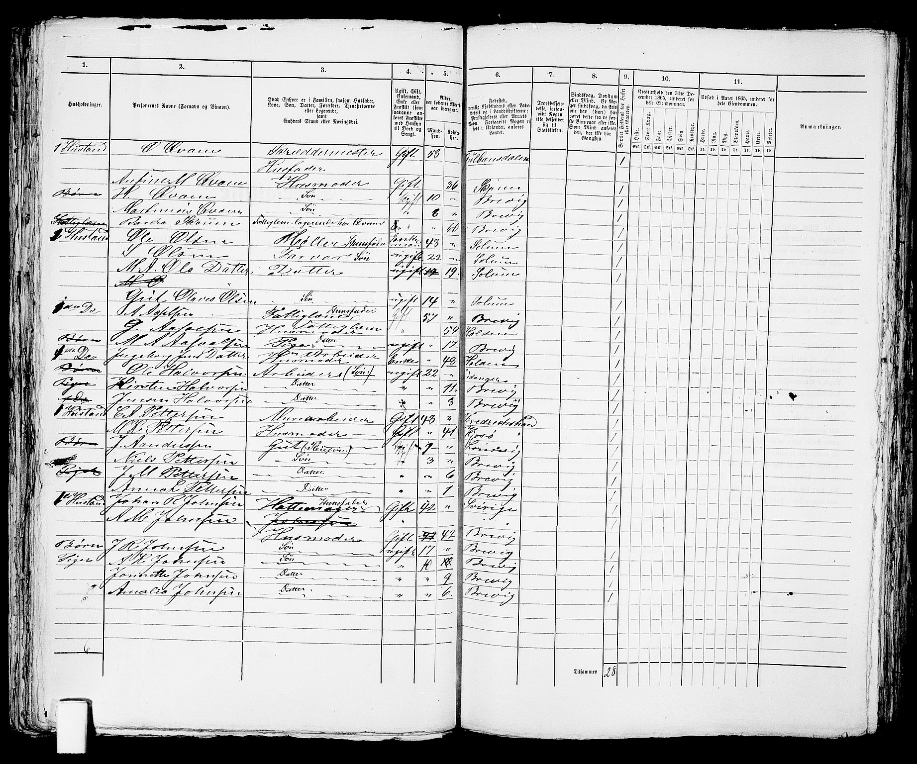 RA, 1865 census for Brevik, 1865, p. 498