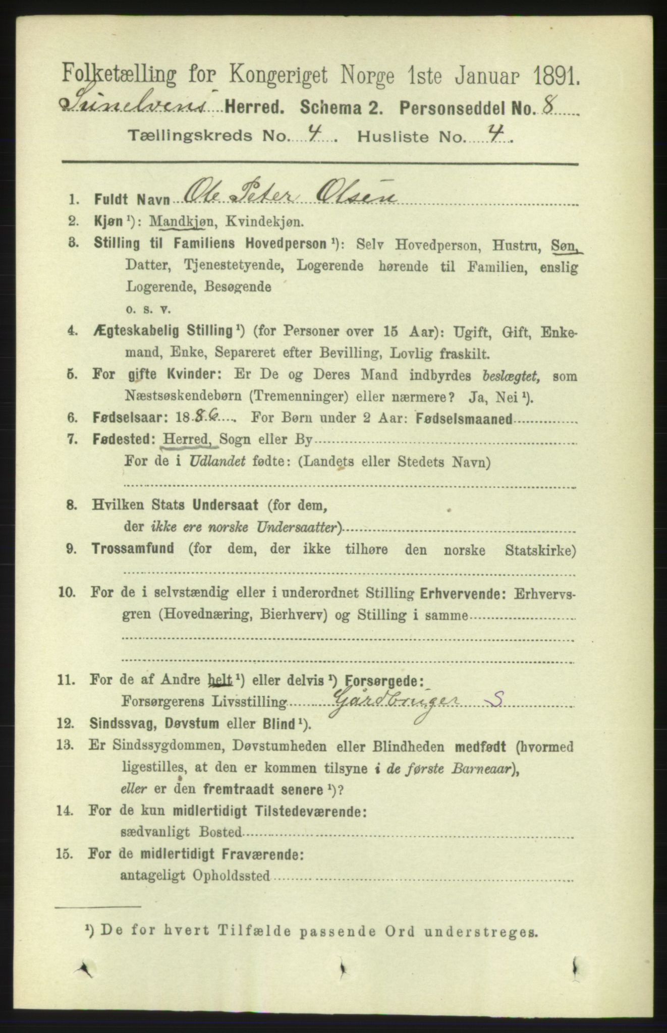 RA, 1891 census for 1523 Sunnylven, 1891, p. 899