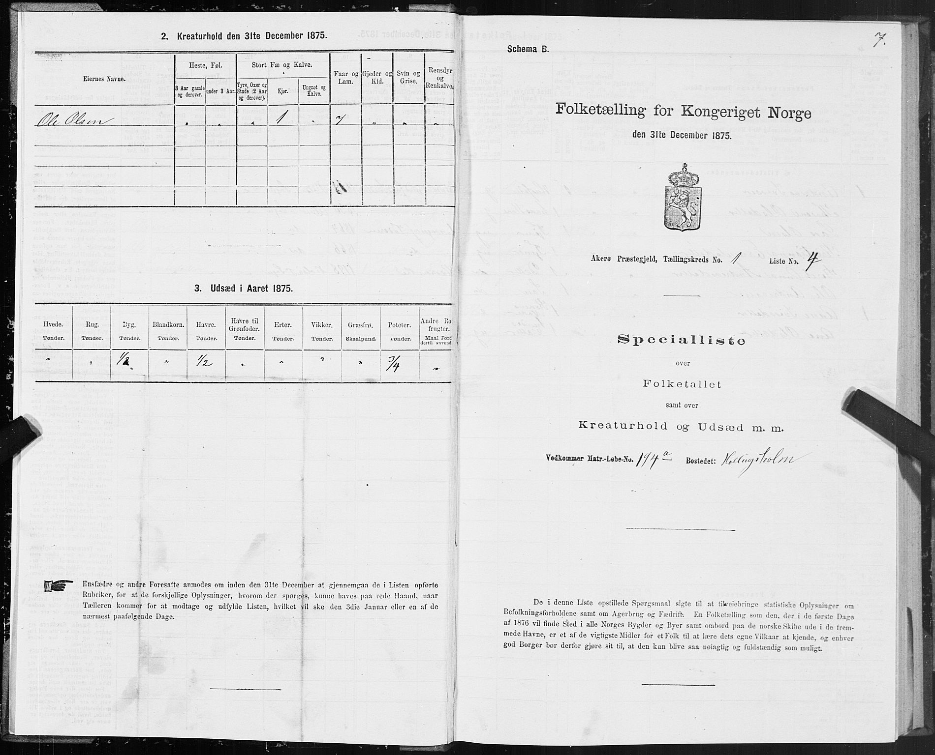 SAT, 1875 census for 1545P Aukra, 1875, p. 1007