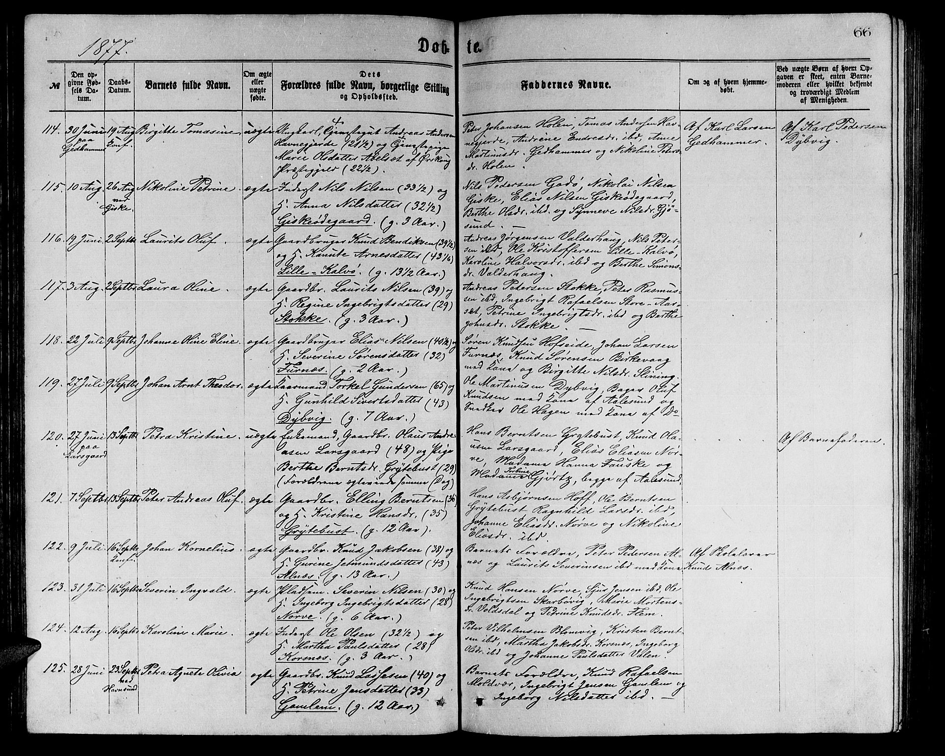 Ministerialprotokoller, klokkerbøker og fødselsregistre - Møre og Romsdal, AV/SAT-A-1454/528/L0429: Parish register (copy) no. 528C10, 1872-1886, p. 66