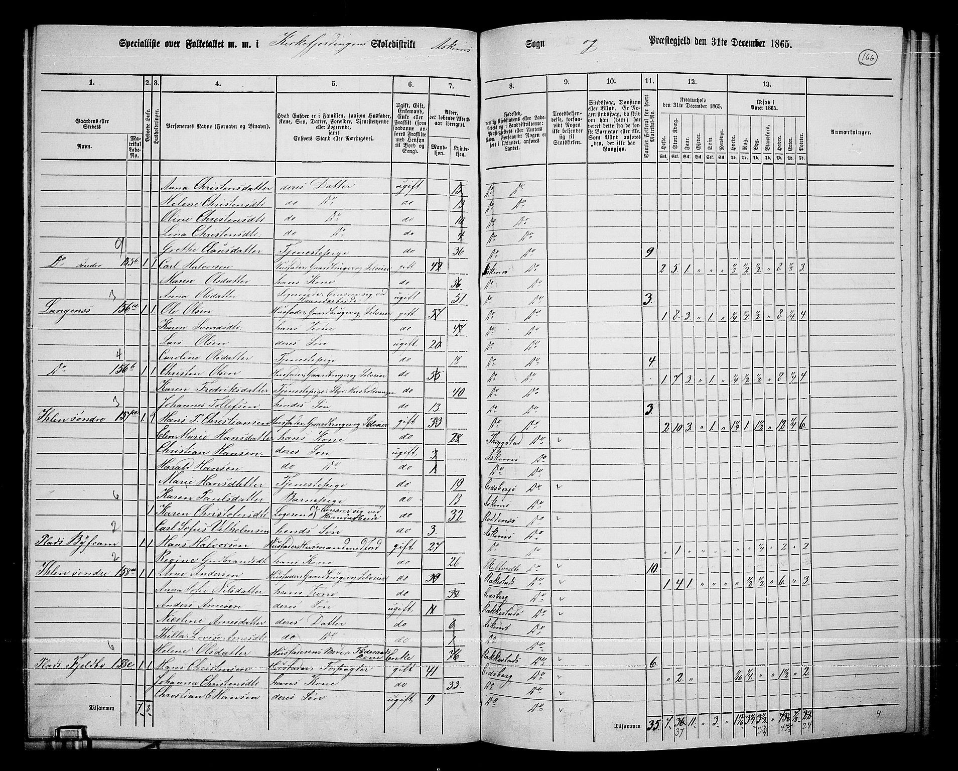 RA, 1865 census for Askim, 1865, p. 29
