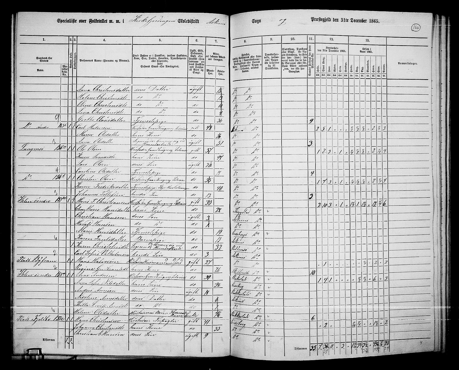 RA, 1865 census for Askim, 1865, p. 29