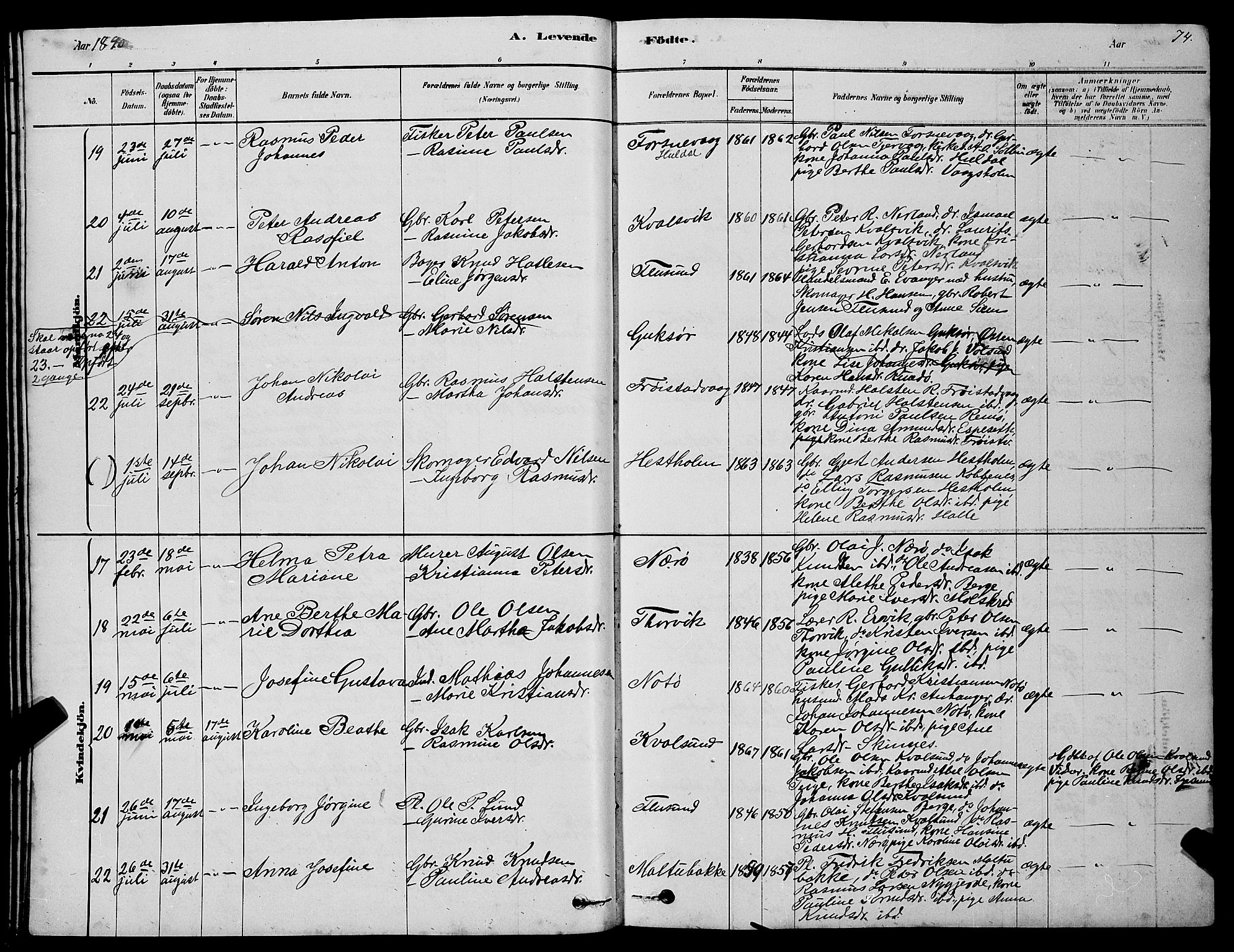 Ministerialprotokoller, klokkerbøker og fødselsregistre - Møre og Romsdal, AV/SAT-A-1454/507/L0081: Parish register (copy) no. 507C04, 1878-1898, p. 74