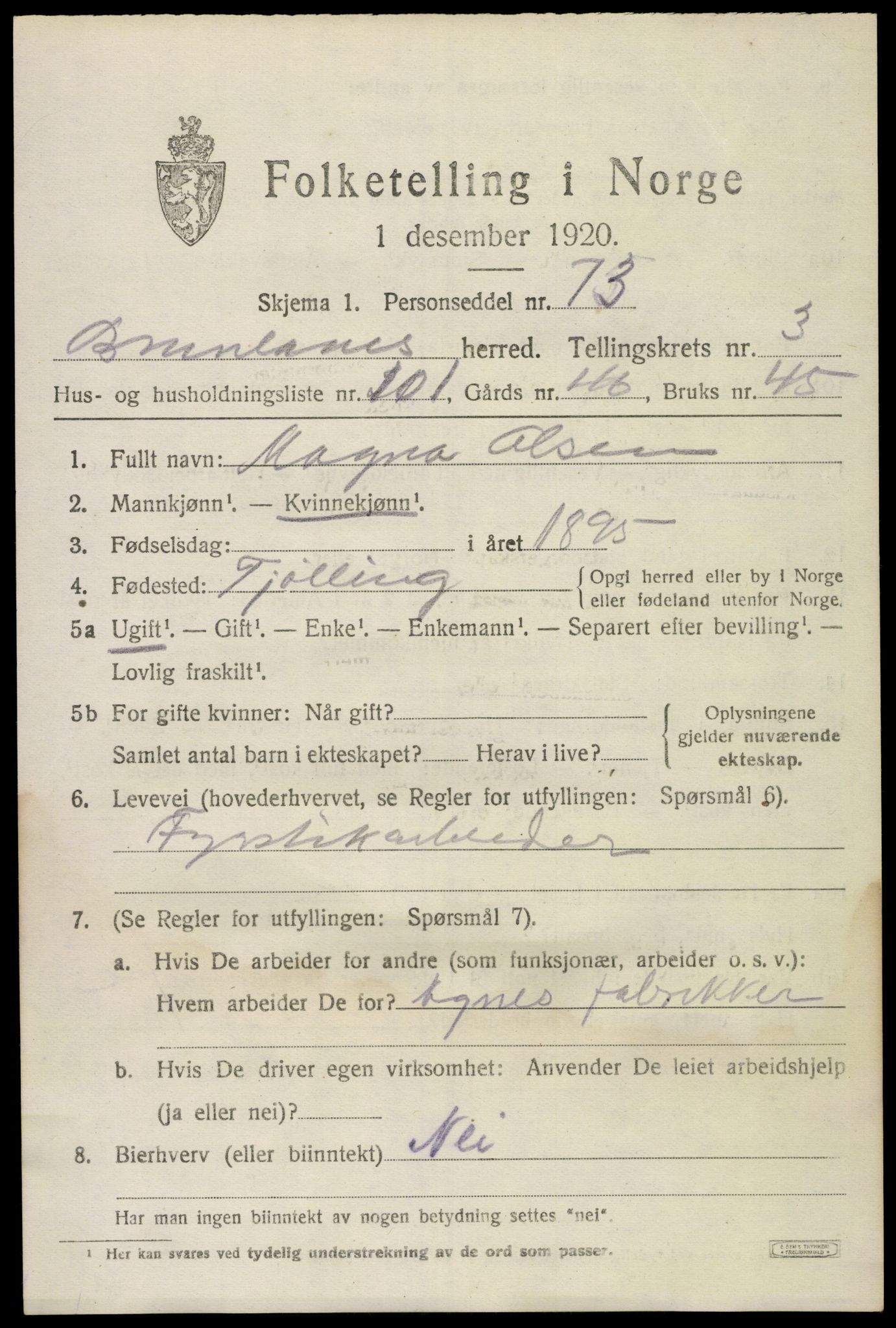 SAKO, 1920 census for Brunlanes, 1920, p. 6113