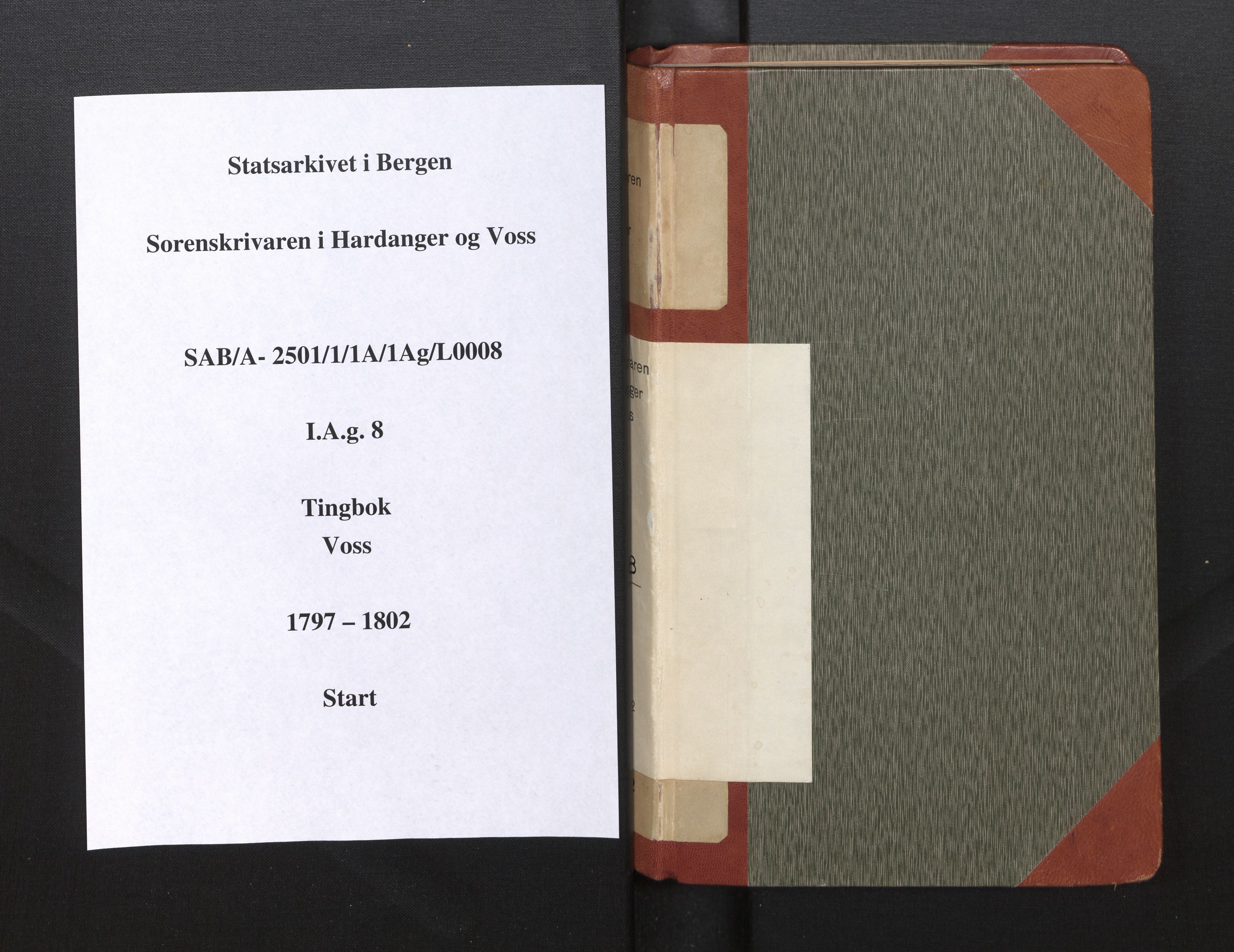 Hardanger og Voss sorenskriveri, AV/SAB-A-2501/1/1A/1Ag/L0008: Tingbok for Voss, 1797-1802