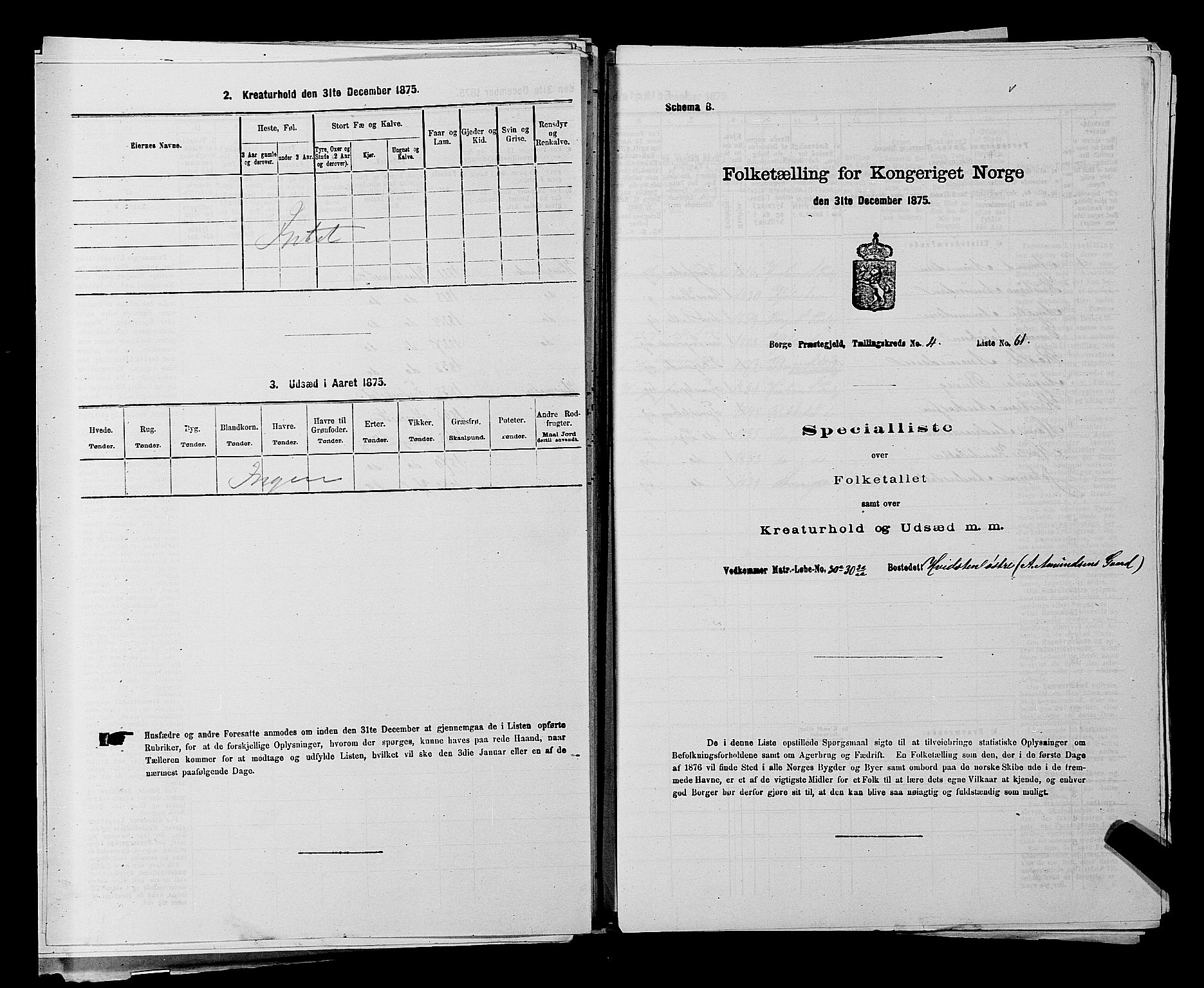 RA, 1875 census for 0113P Borge, 1875, p. 643