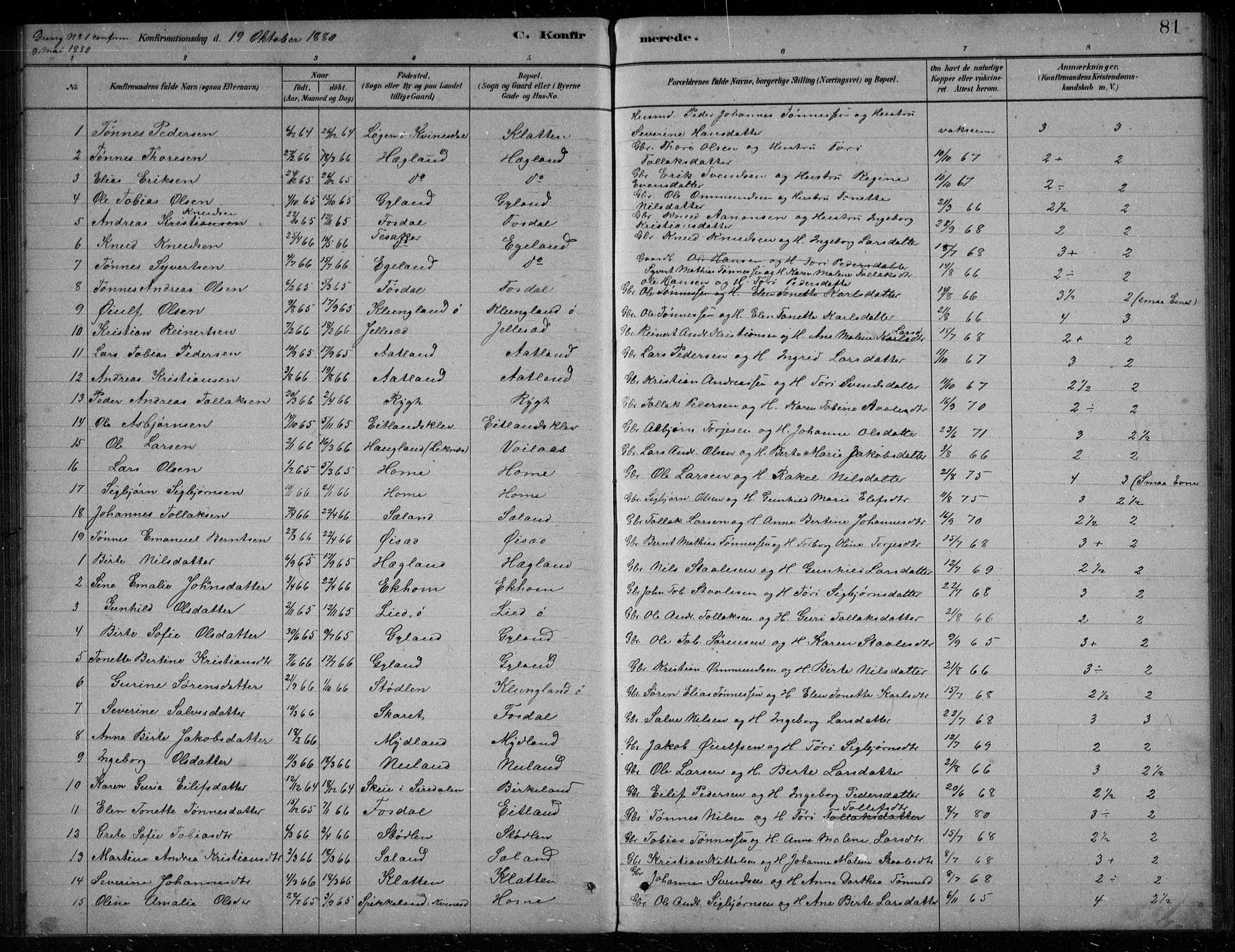 Bakke sokneprestkontor, AV/SAK-1111-0002/F/Fb/Fbb/L0003: Parish register (copy) no. B 3, 1878-1896, p. 81