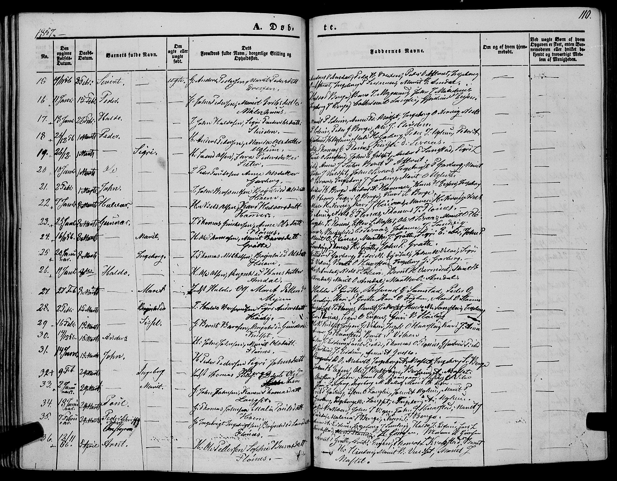 Ministerialprotokoller, klokkerbøker og fødselsregistre - Sør-Trøndelag, SAT/A-1456/695/L1145: Parish register (official) no. 695A06 /1, 1843-1859, p. 110