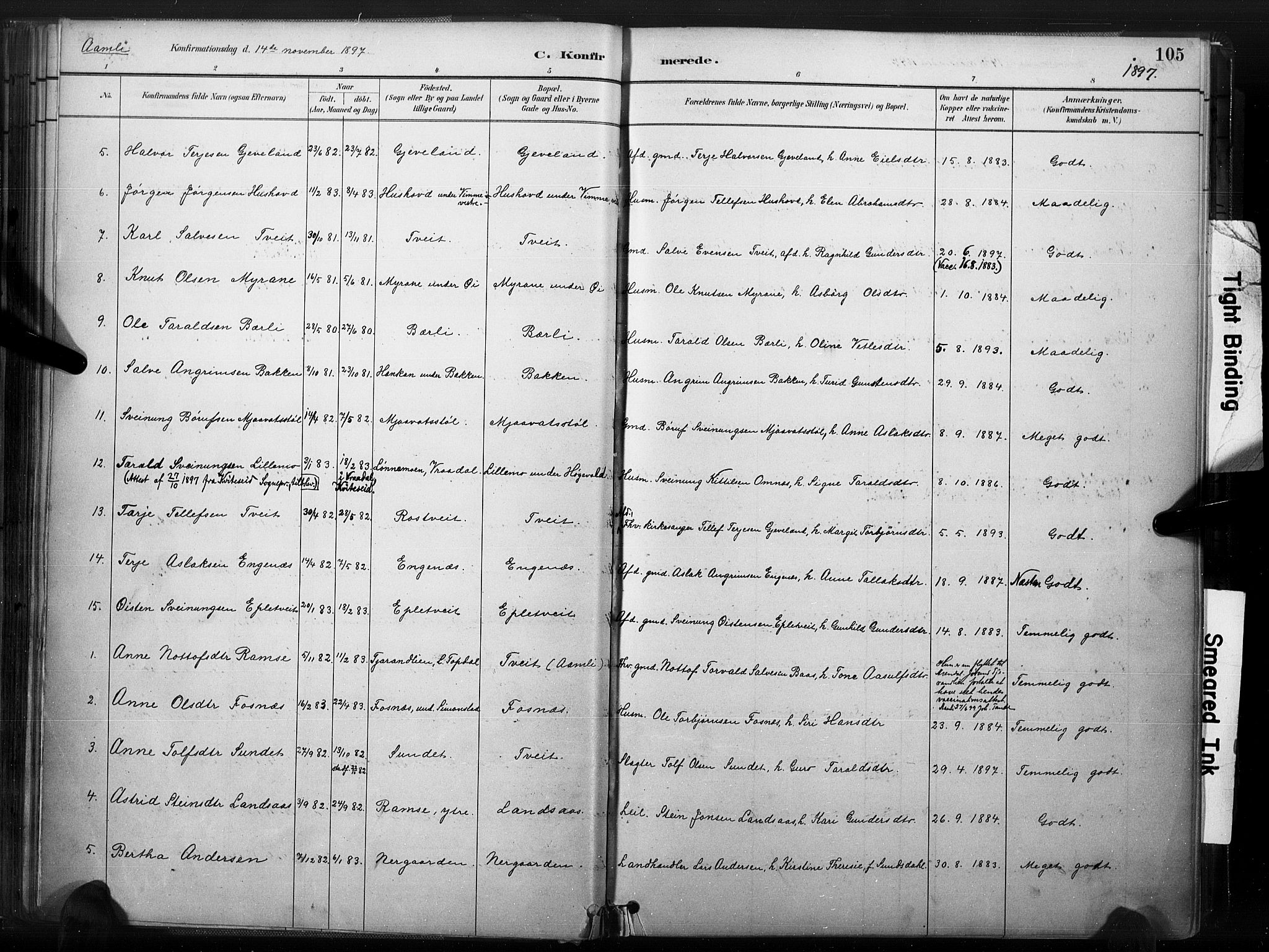 Åmli sokneprestkontor, SAK/1111-0050/F/Fa/Fac/L0010: Parish register (official) no. A 10 /1, 1885-1899, p. 105