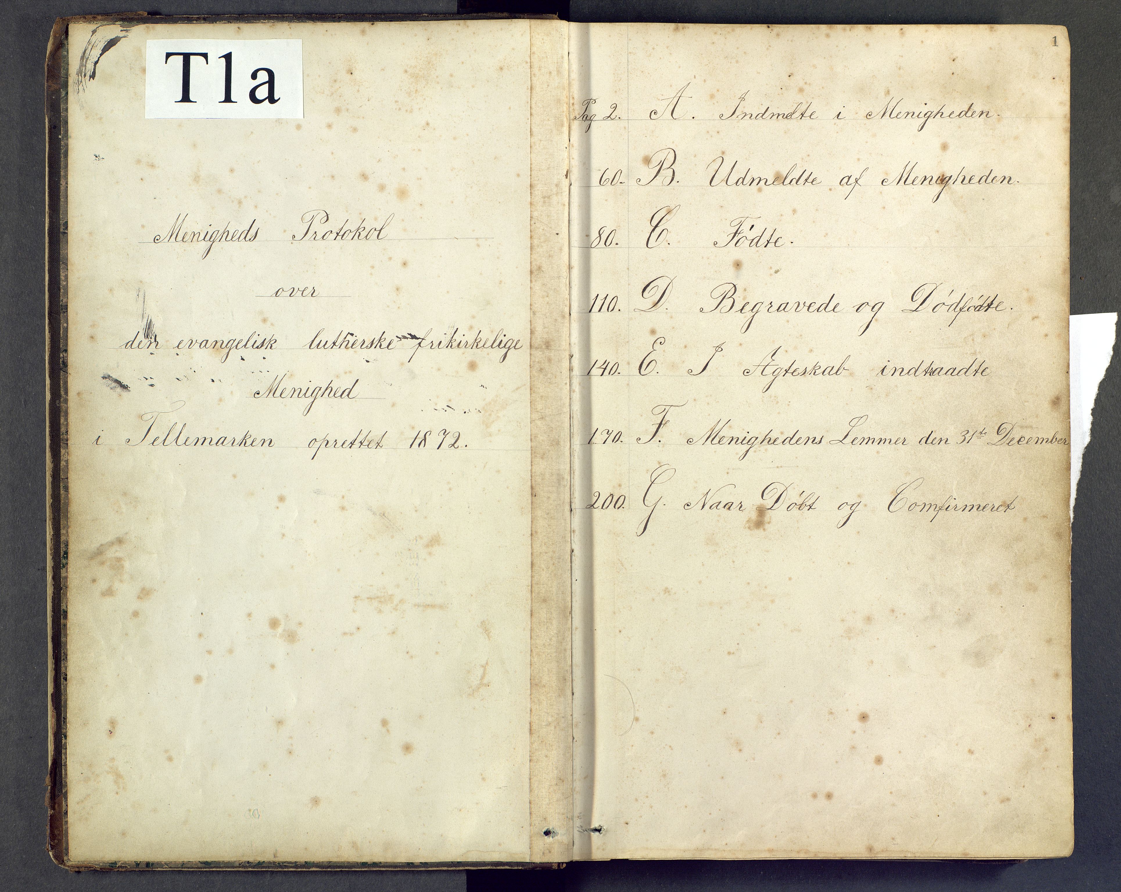 Den evangelisk lutherske frimenighet i Jarlsbergs grevskap med flere steder, AV/SAKO-P-1384/F/Fb/L0001: Dissenter register no. Fa/L0001, 1872-1906, p. 1