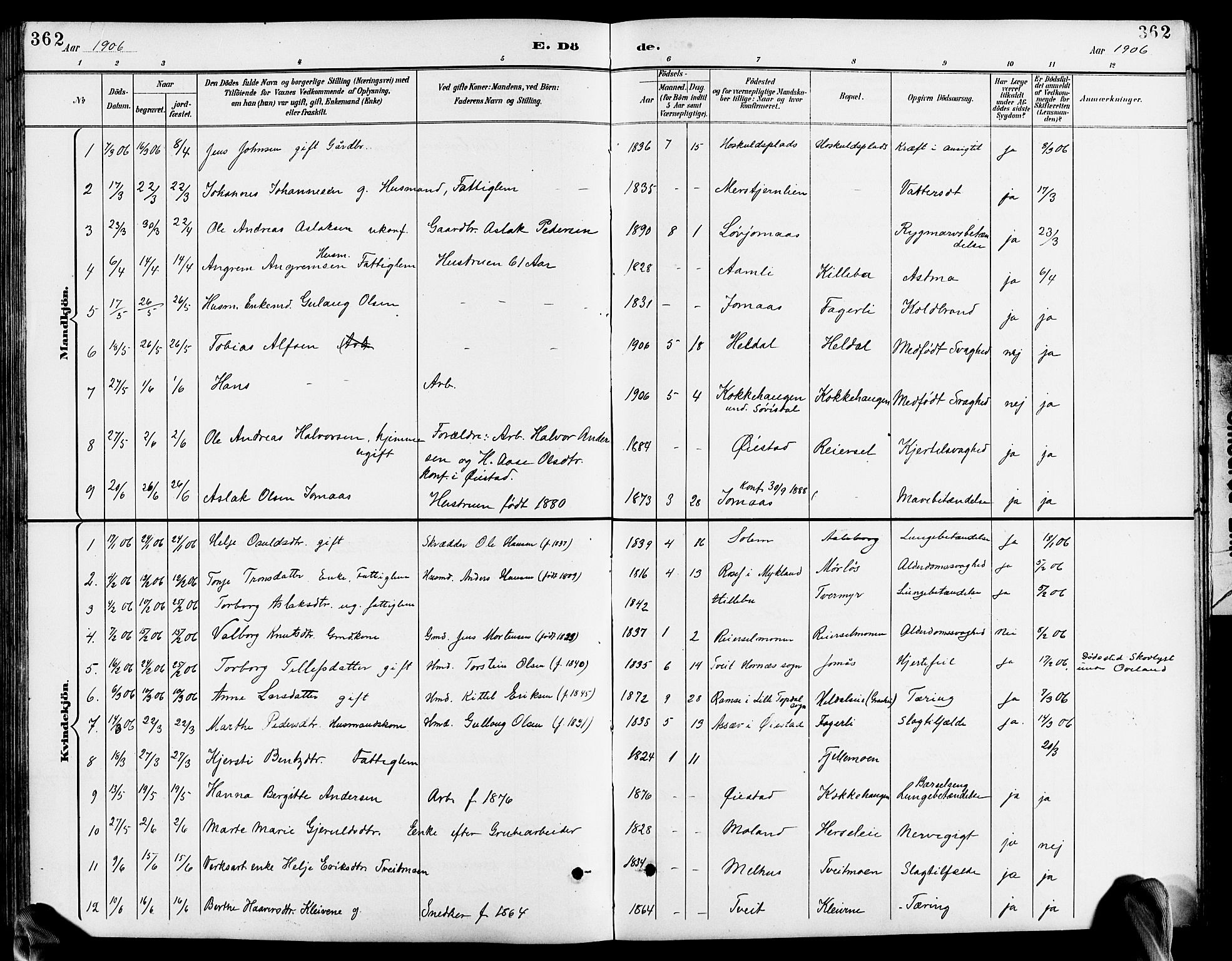 Froland sokneprestkontor, SAK/1111-0013/F/Fb/L0010: Parish register (copy) no. B 10, 1893-1920, p. 362