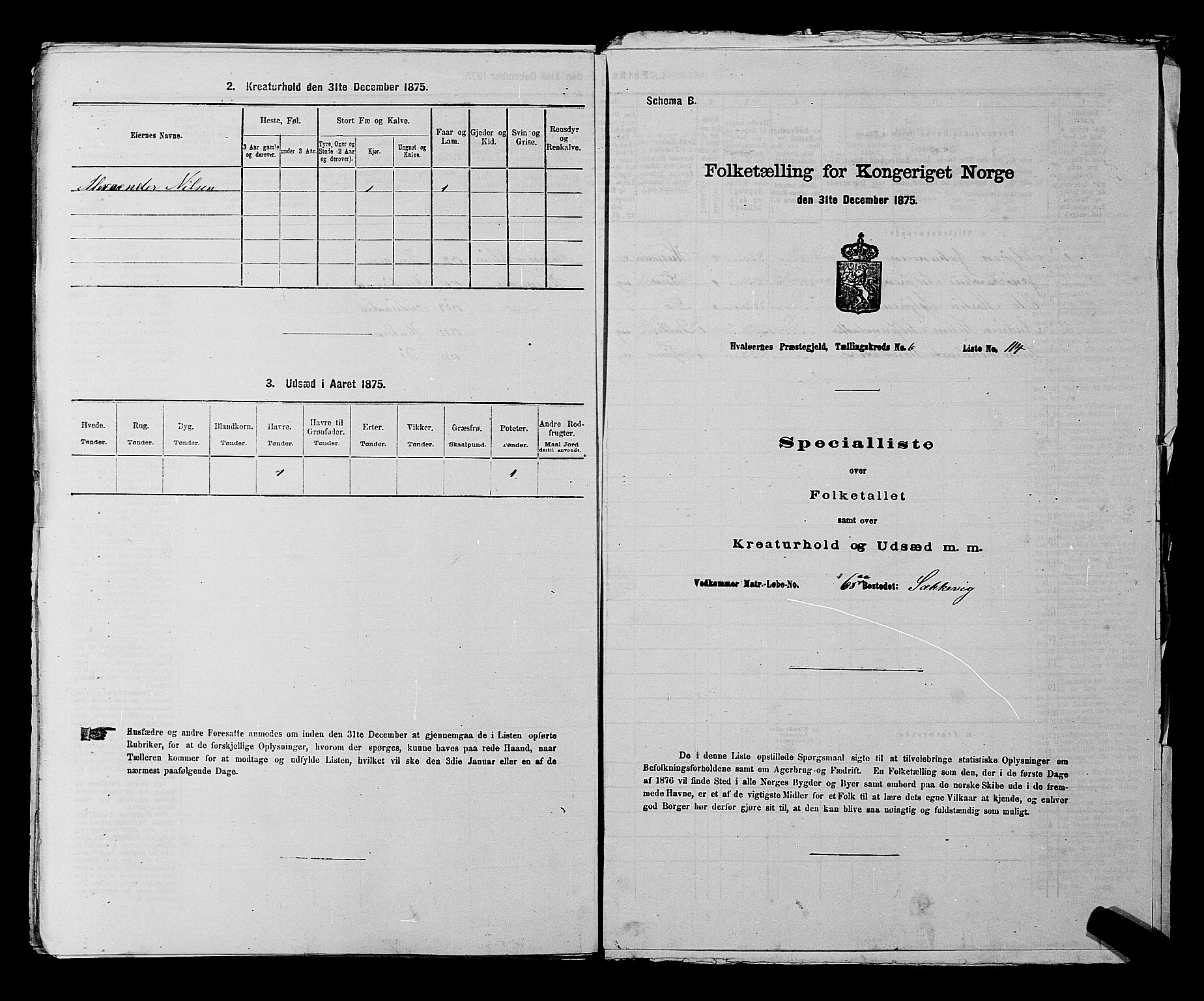 RA, 1875 census for 0111P Hvaler, 1875, p. 973