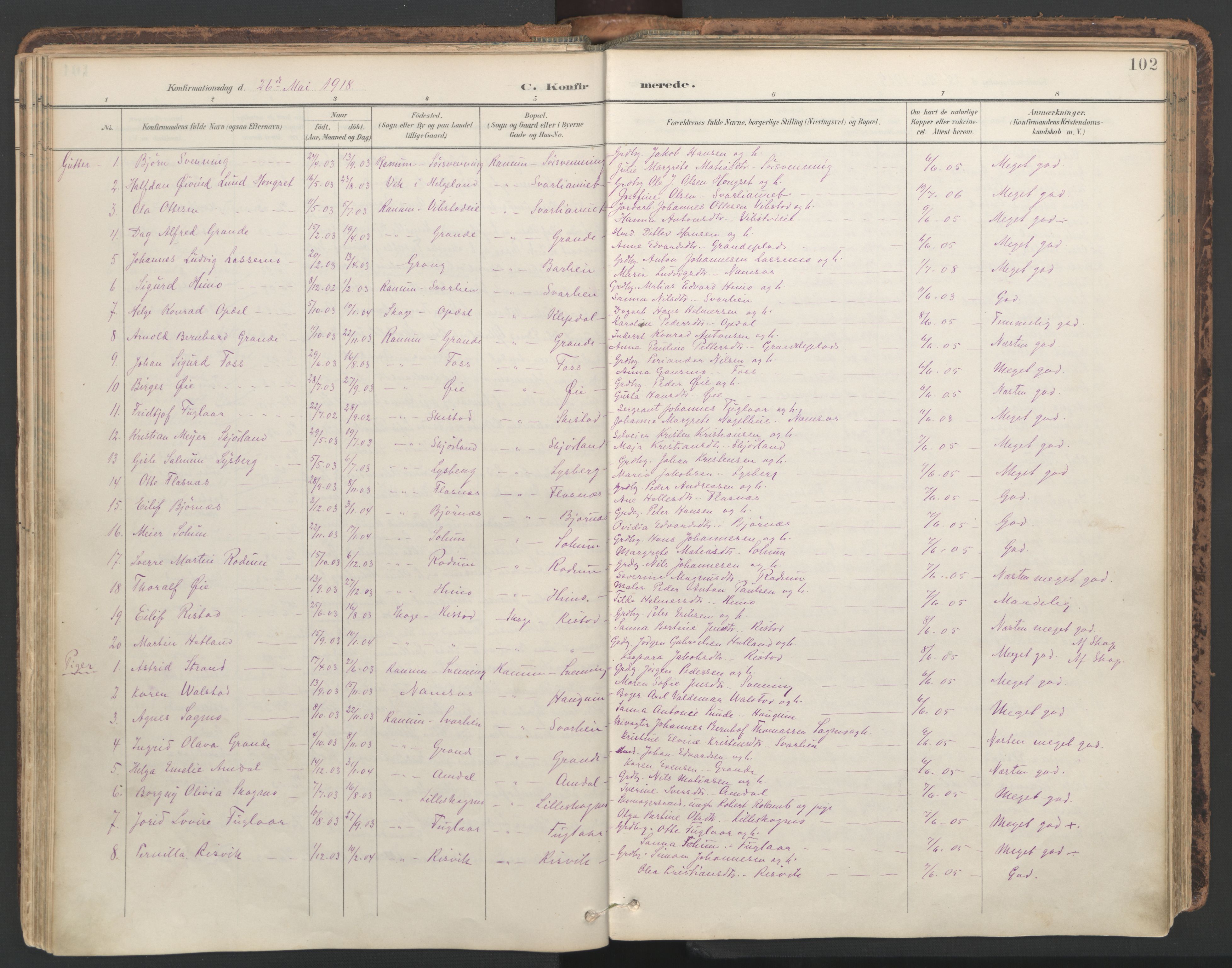 Ministerialprotokoller, klokkerbøker og fødselsregistre - Nord-Trøndelag, SAT/A-1458/764/L0556: Parish register (official) no. 764A11, 1897-1924, p. 102