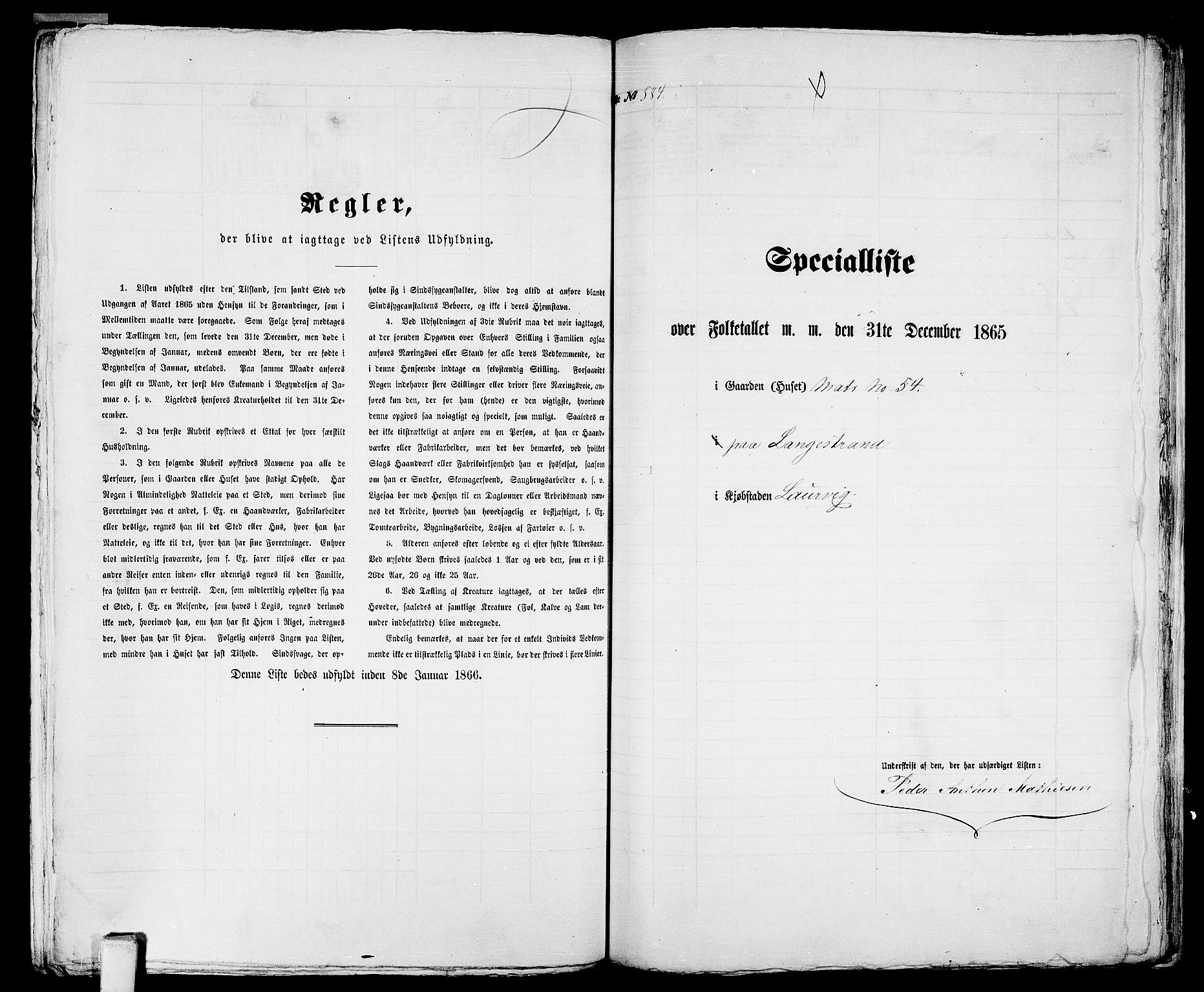 RA, 1865 census for Larvik, 1865, p. 1196