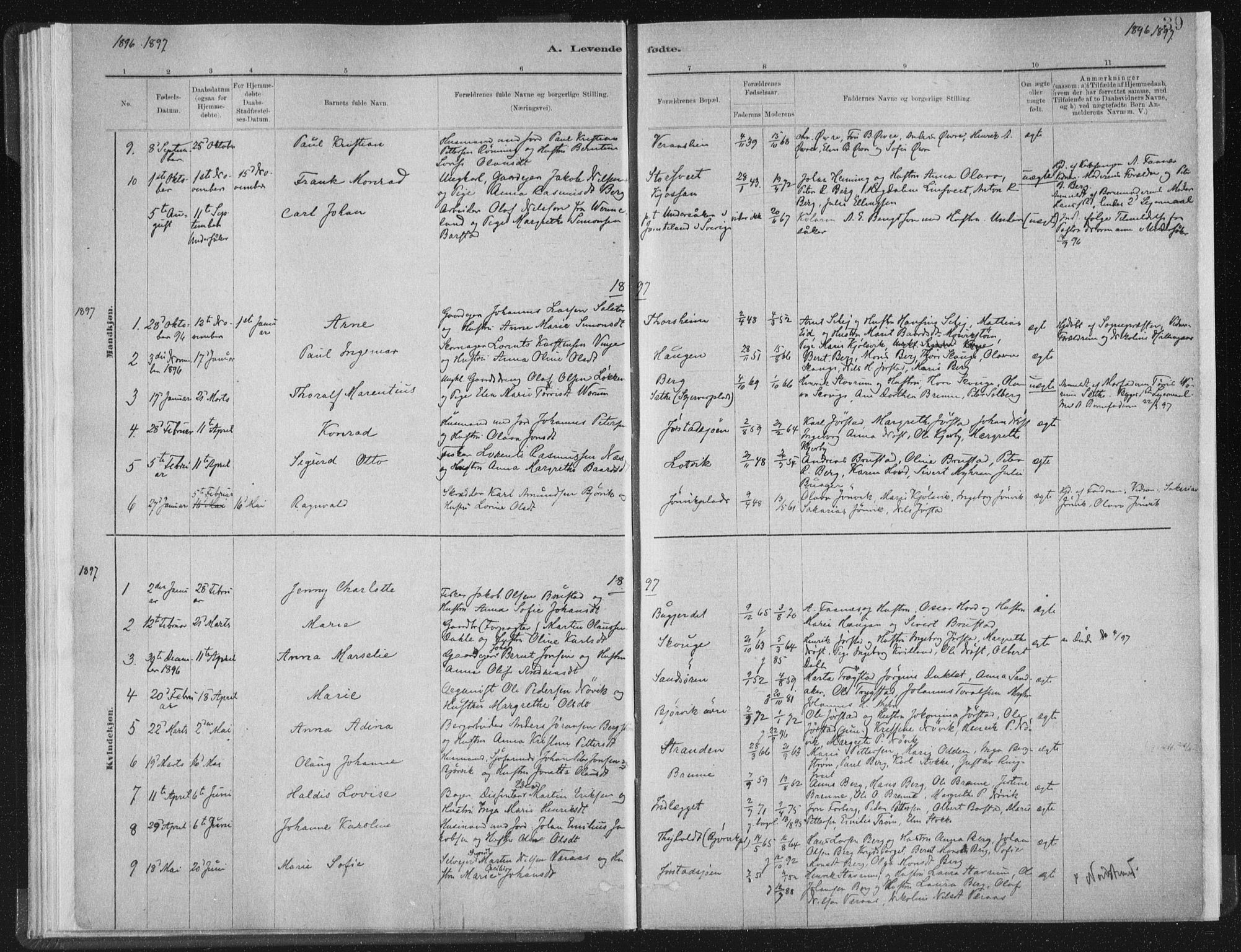Ministerialprotokoller, klokkerbøker og fødselsregistre - Nord-Trøndelag, SAT/A-1458/722/L0220: Parish register (official) no. 722A07, 1881-1908, p. 39