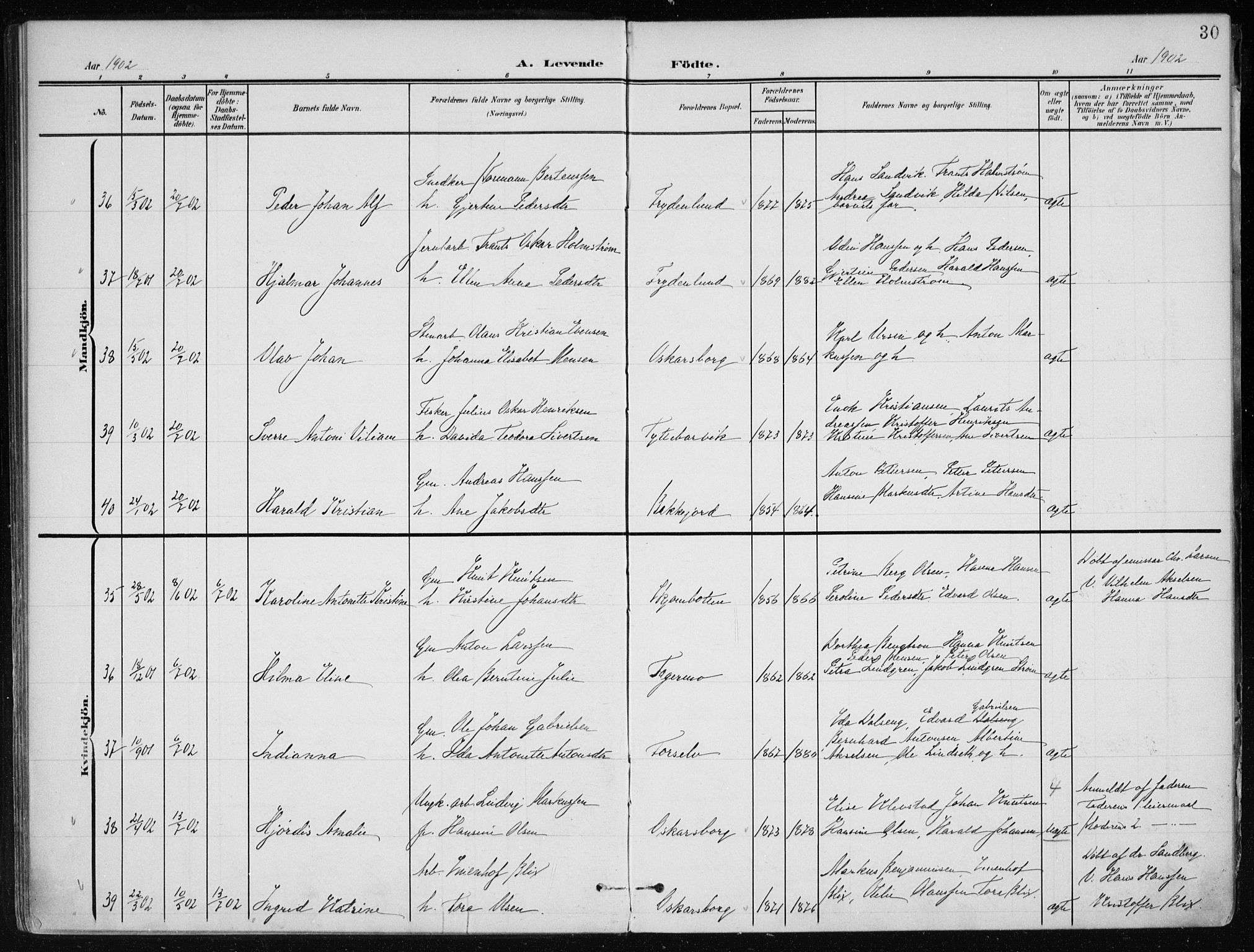 Ministerialprotokoller, klokkerbøker og fødselsregistre - Nordland, AV/SAT-A-1459/866/L0941: Parish register (official) no. 866A04, 1901-1917, p. 30