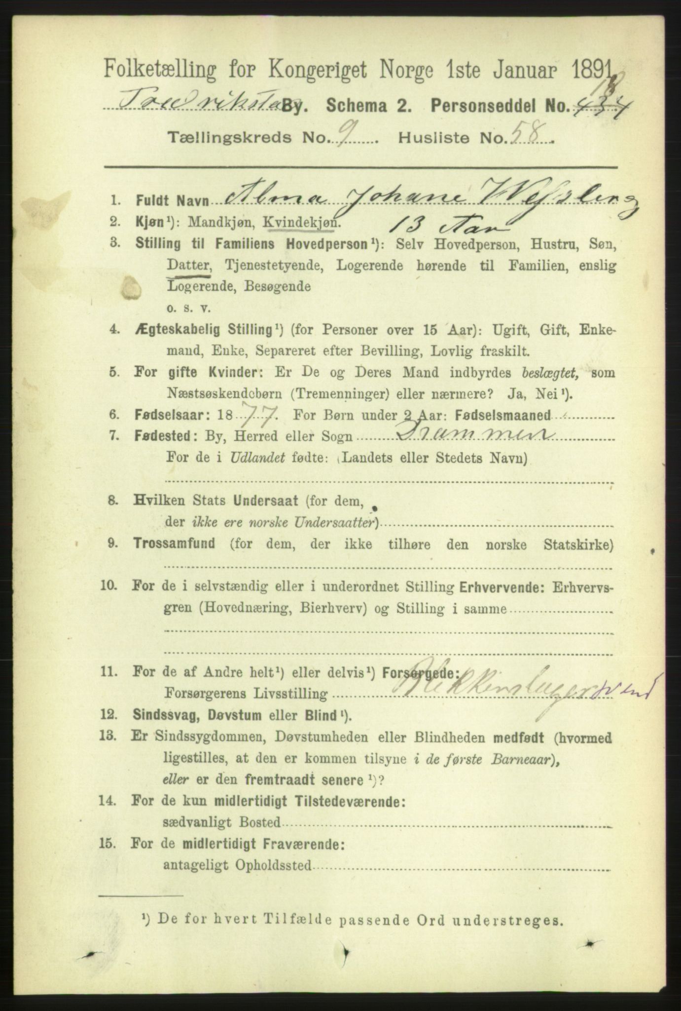 RA, 1891 census for 0103 Fredrikstad, 1891, p. 11061