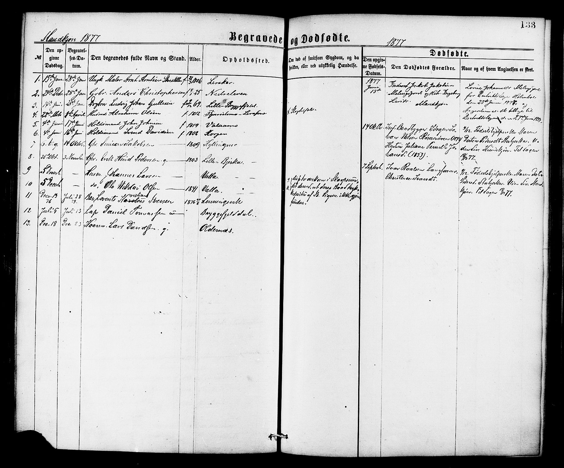 Ministerialprotokoller, klokkerbøker og fødselsregistre - Nordland, AV/SAT-A-1459/826/L0378: Parish register (official) no. 826A01, 1865-1878, p. 133