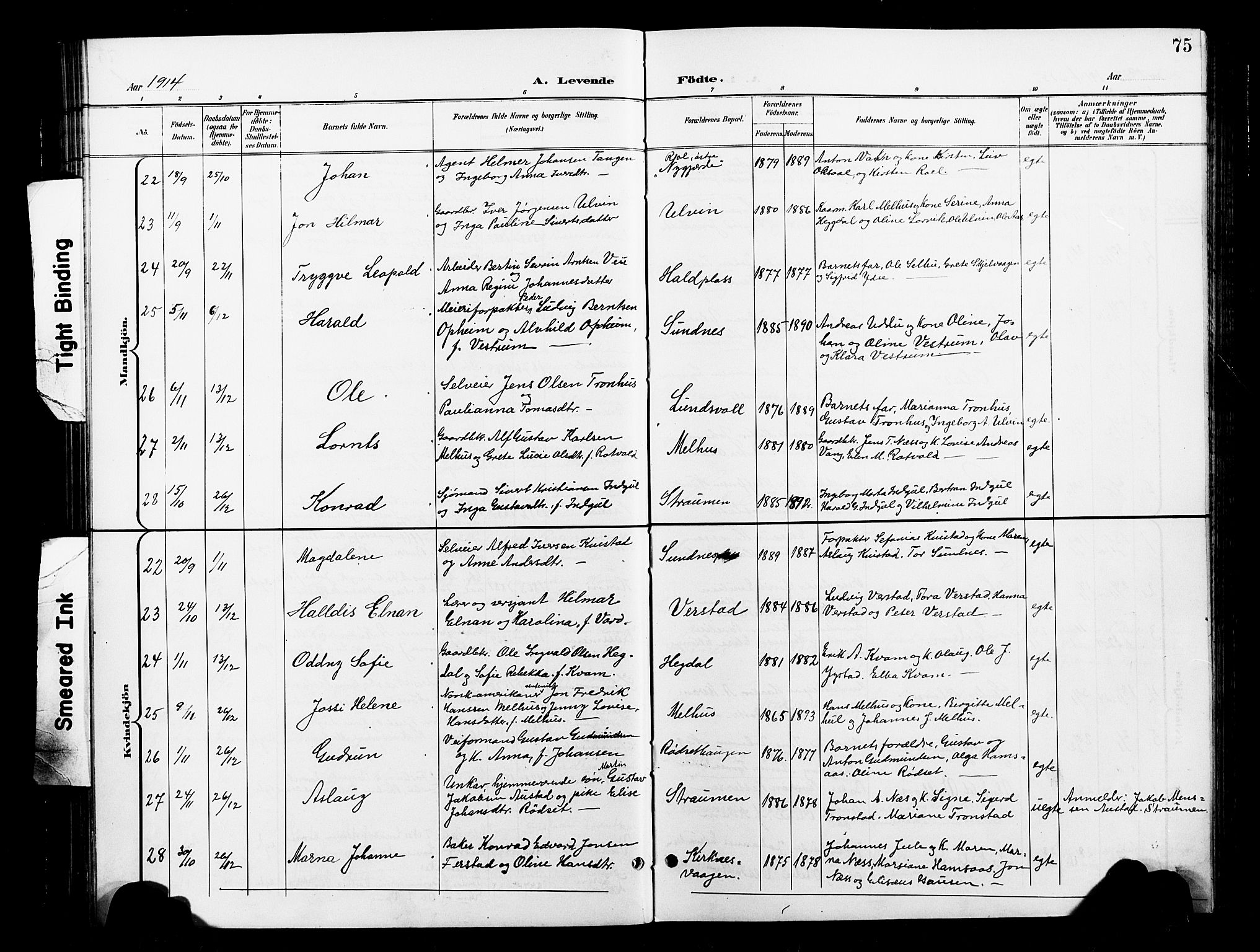 Ministerialprotokoller, klokkerbøker og fødselsregistre - Nord-Trøndelag, SAT/A-1458/730/L0302: Parish register (copy) no. 730C05, 1898-1924, p. 75