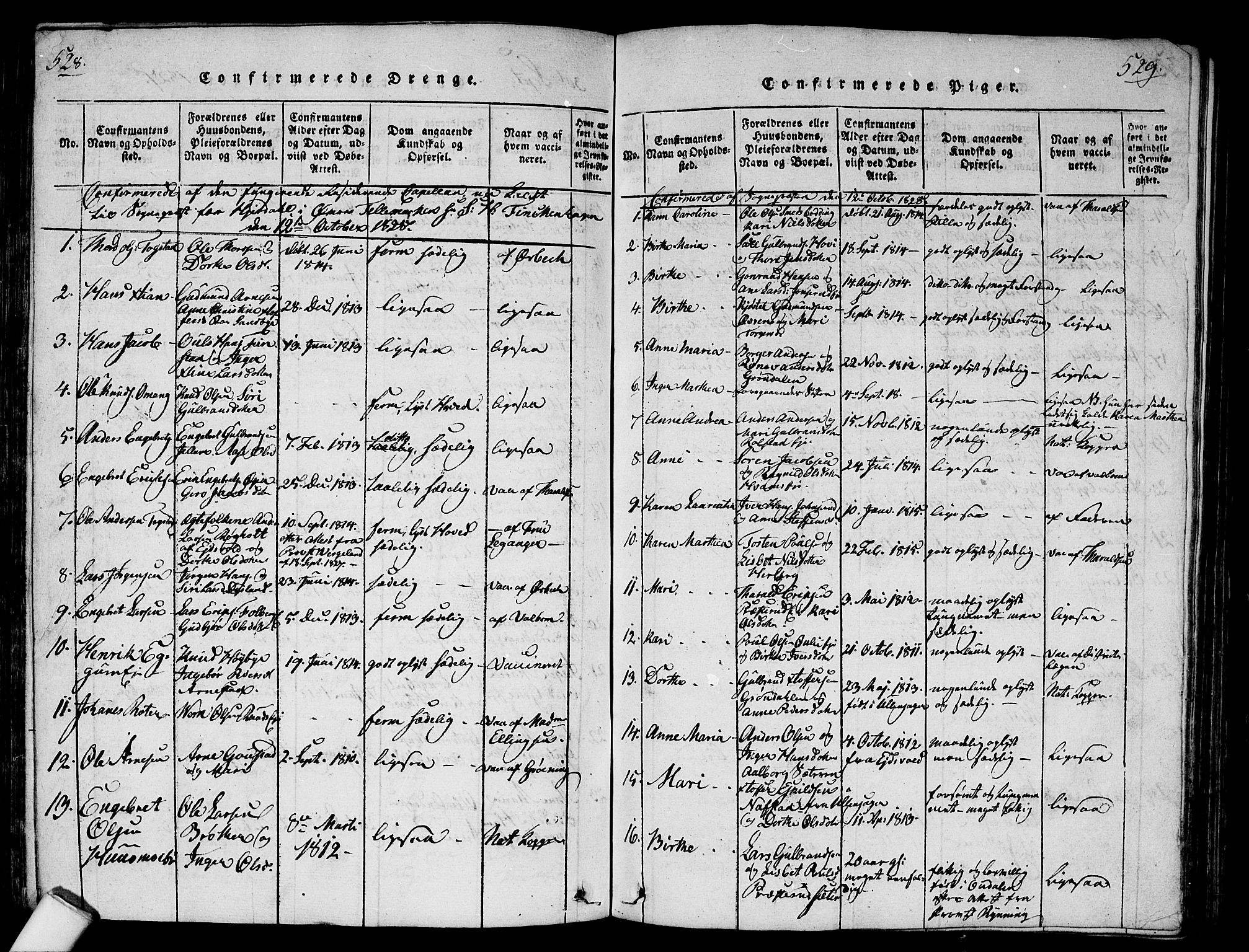 Nes prestekontor Kirkebøker, SAO/A-10410/G/Ga/L0001: Parish register (copy) no. I 1, 1815-1835, p. 528-529