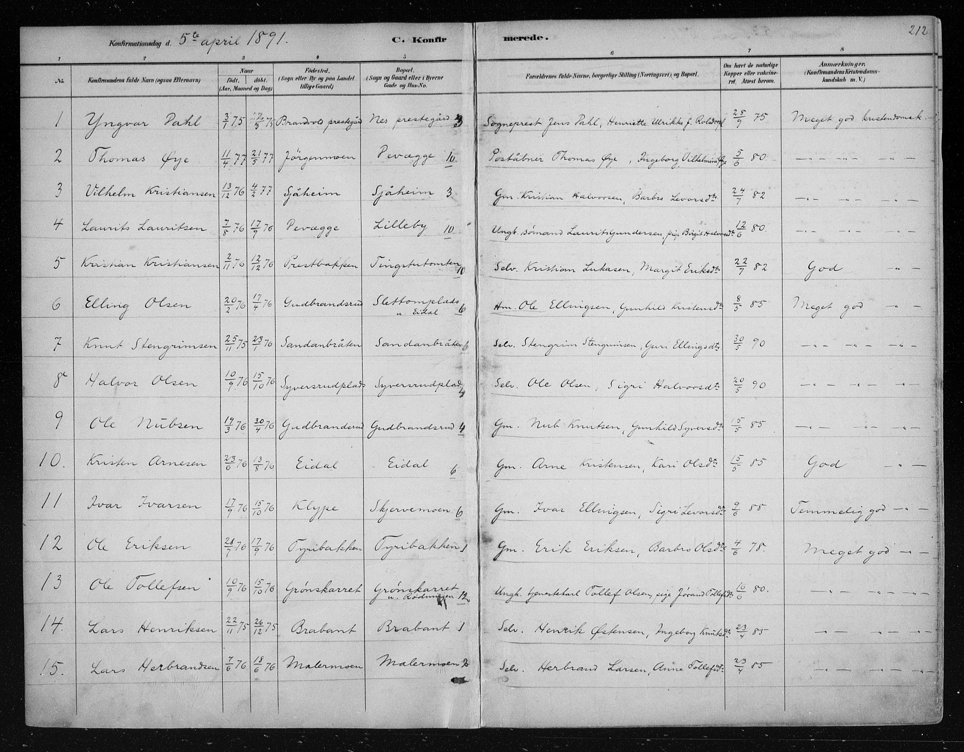 Nes kirkebøker, AV/SAKO-A-236/F/Fa/L0011: Parish register (official) no. 11, 1881-1912, p. 212