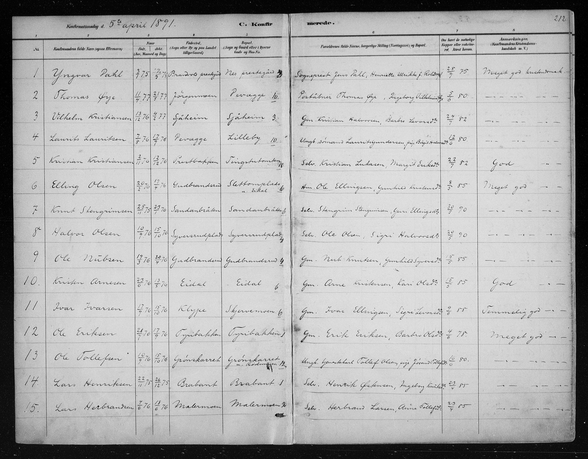 Nes kirkebøker, SAKO/A-236/F/Fa/L0011: Parish register (official) no. 11, 1881-1912, p. 212