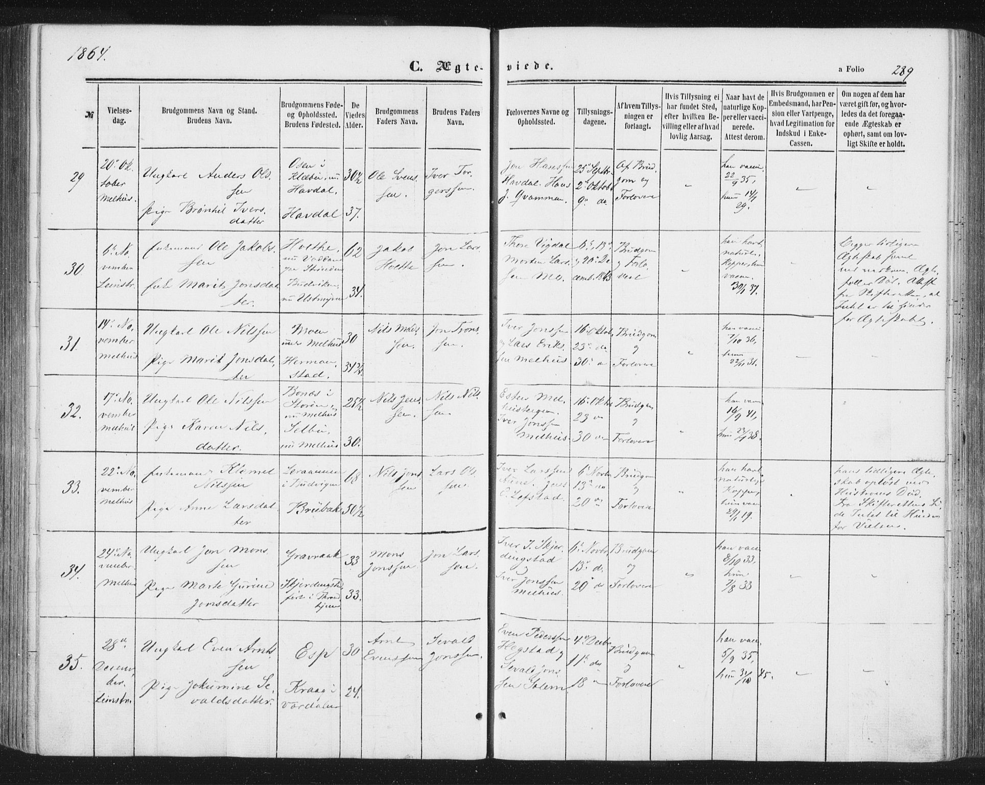 Ministerialprotokoller, klokkerbøker og fødselsregistre - Sør-Trøndelag, AV/SAT-A-1456/691/L1077: Parish register (official) no. 691A09, 1862-1873, p. 289