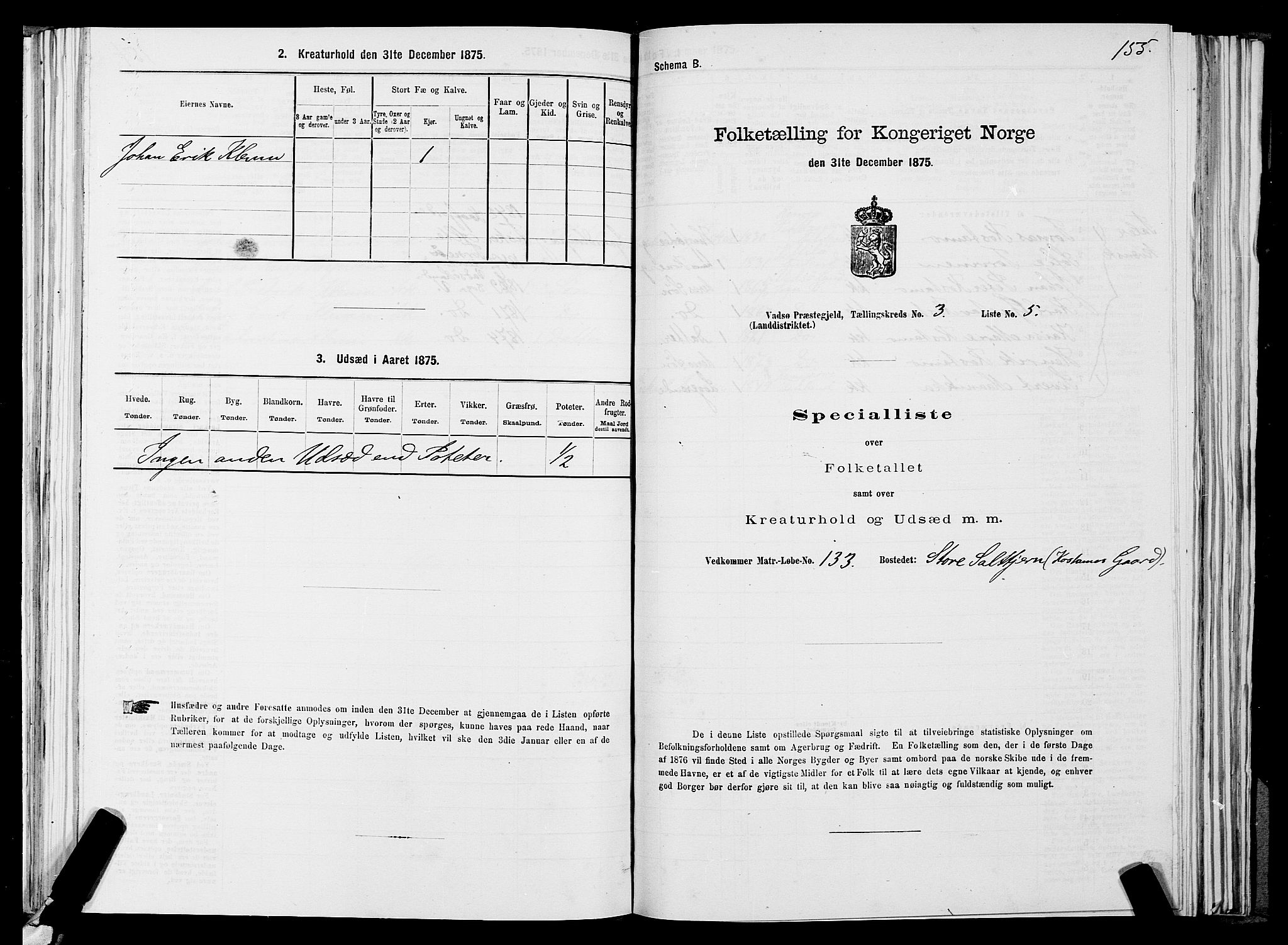 SATØ, 1875 census for 2029L Vadsø/Vadsø, 1875, p. 1155