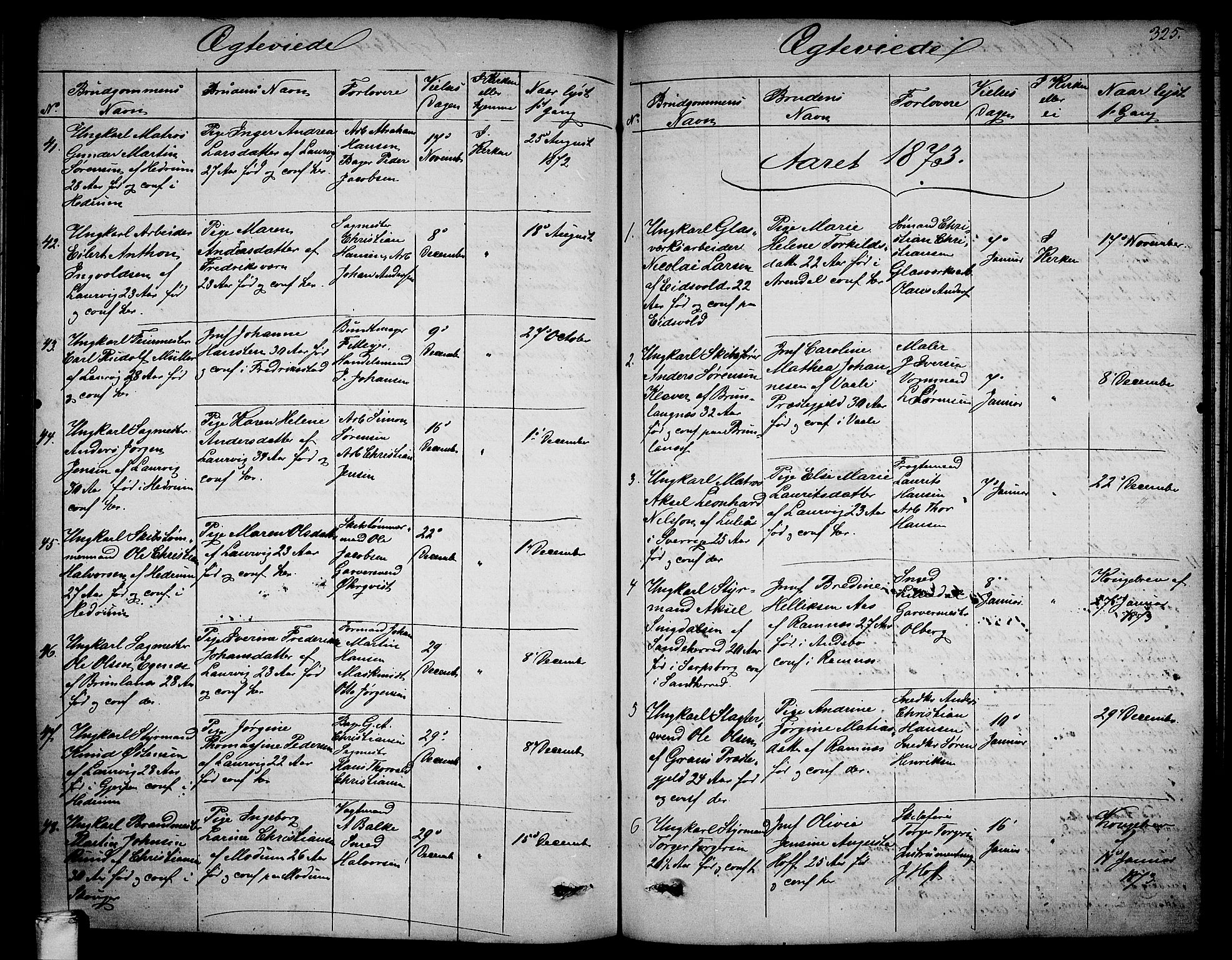 Larvik kirkebøker, SAKO/A-352/G/Ga/L0004: Parish register (copy) no. I 4, 1871-1888, p. 325