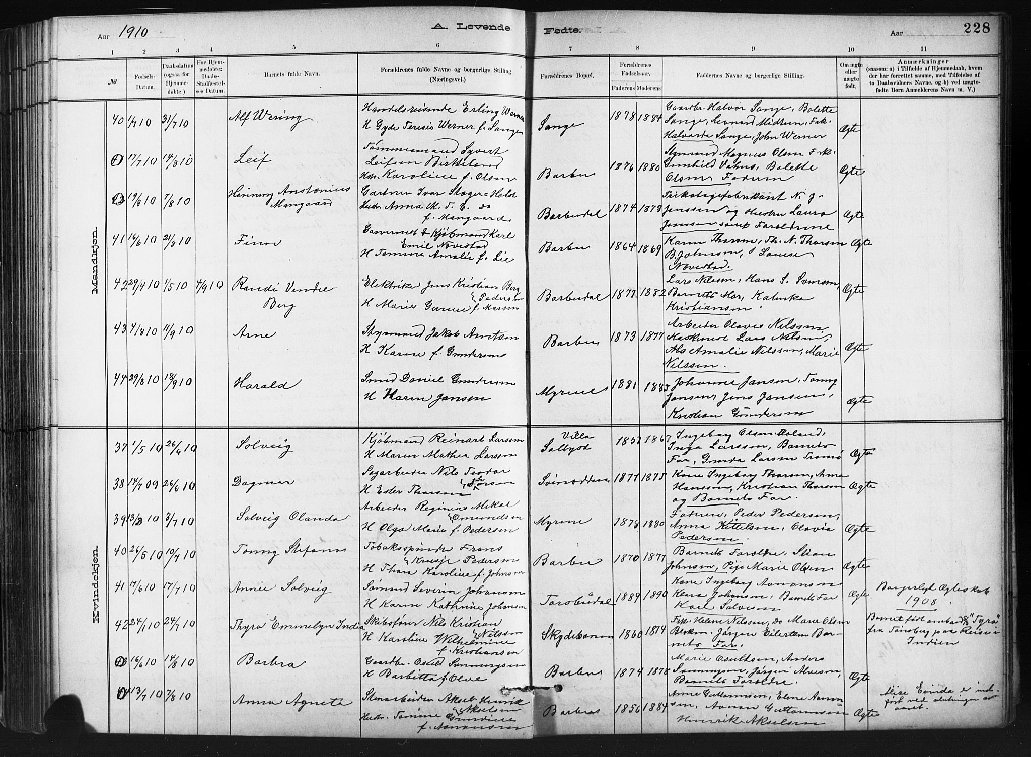 Barbu sokneprestkontor, SAK/1111-0003/F/Fb/L0002: Parish register (copy) no. B 2, 1890-1922, p. 228