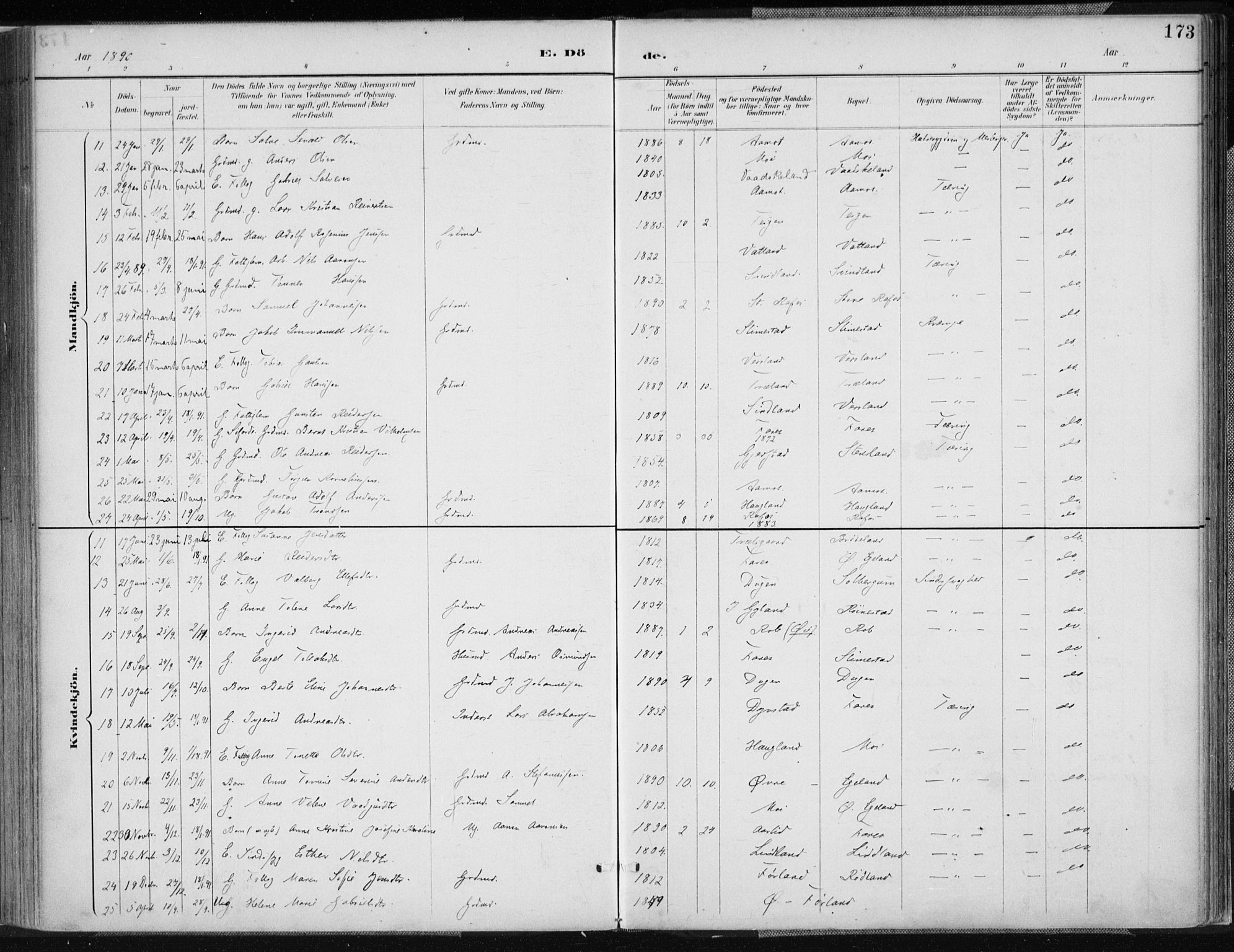 Kvinesdal sokneprestkontor, AV/SAK-1111-0026/F/Fa/Fab/L0008: Parish register (official) no. A 8, 1886-1897, p. 173