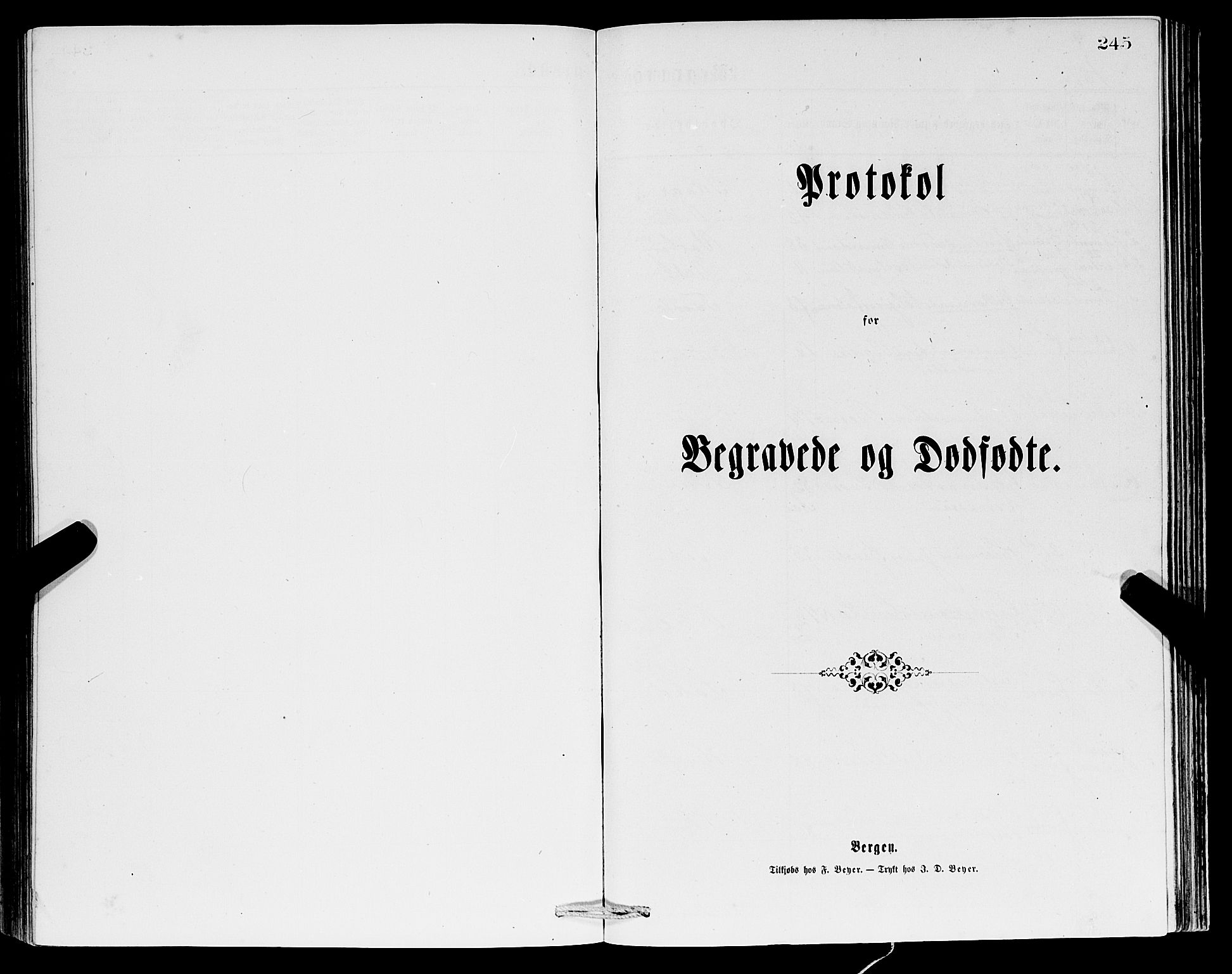Ullensvang sokneprestembete, SAB/A-78701/H/Hab: Parish register (copy) no. C 2, 1871-1899, p. 245
