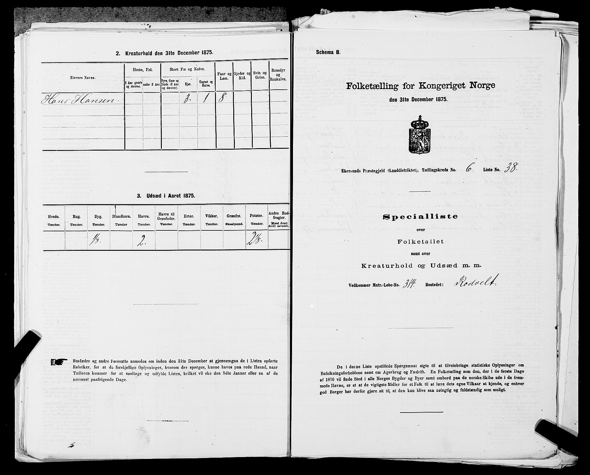 SAST, 1875 census for 1116L Eigersund/Eigersund og Ogna, 1875, p. 716