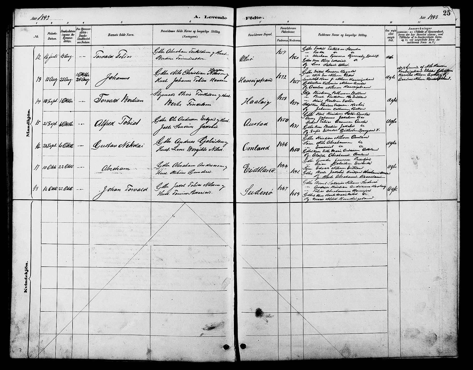 Lyngdal sokneprestkontor, AV/SAK-1111-0029/F/Fb/Fba/L0003: Parish register (copy) no. B 3, 1886-1903, p. 25