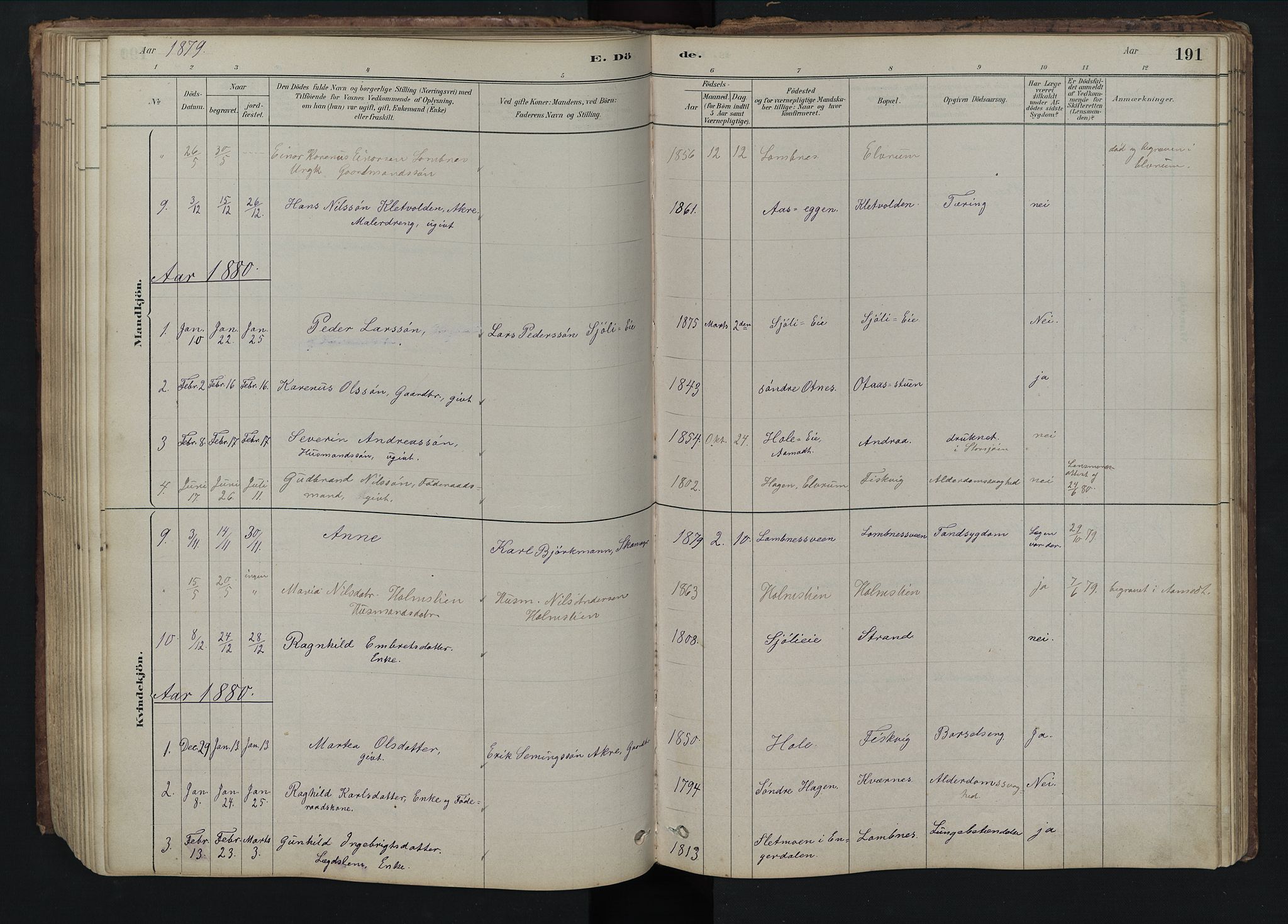 Rendalen prestekontor, SAH/PREST-054/H/Ha/Hab/L0009: Parish register (copy) no. 9, 1879-1902, p. 191