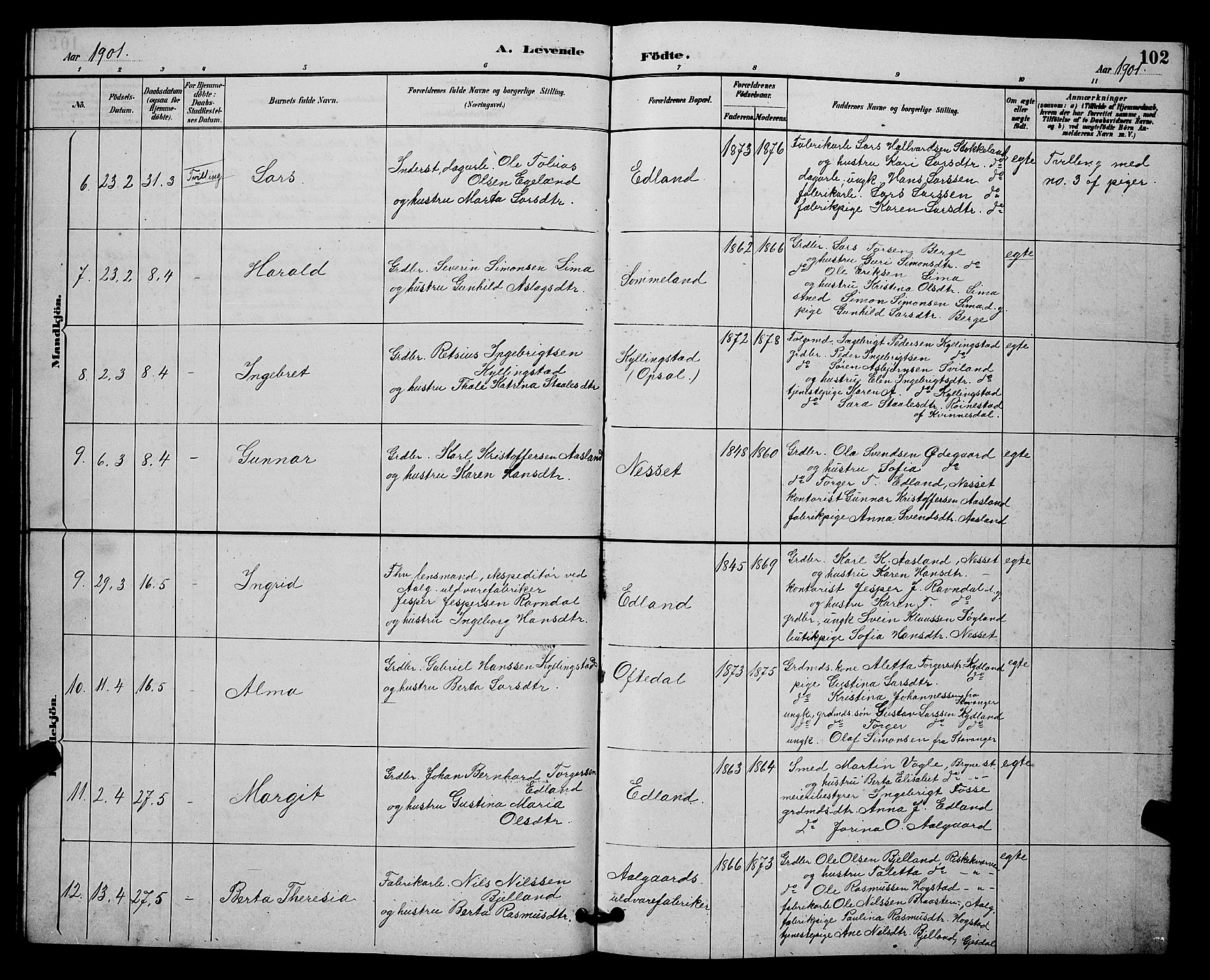 Lye sokneprestkontor, AV/SAST-A-101794/001/30BB/L0008: Parish register (copy) no. B 7, 1887-1901, p. 102
