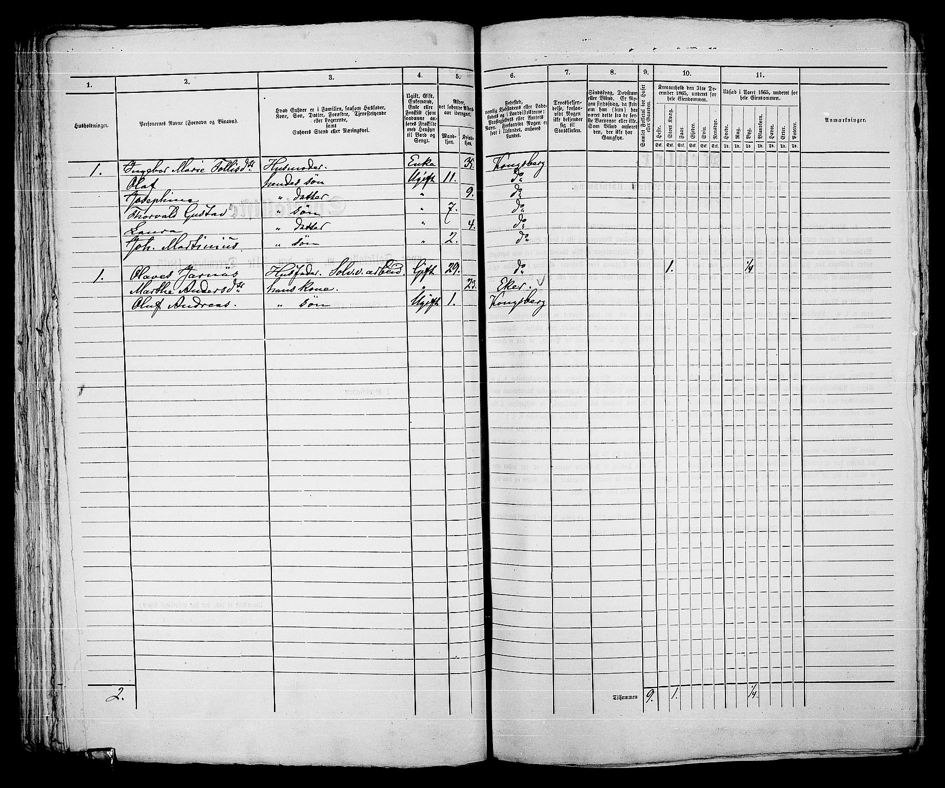 RA, 1865 census for Kongsberg/Kongsberg, 1865, p. 652