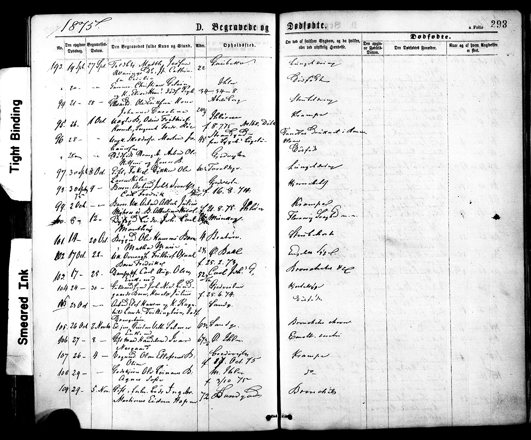 Ministerialprotokoller, klokkerbøker og fødselsregistre - Sør-Trøndelag, SAT/A-1456/602/L0118: Parish register (official) no. 602A16, 1873-1879, p. 293