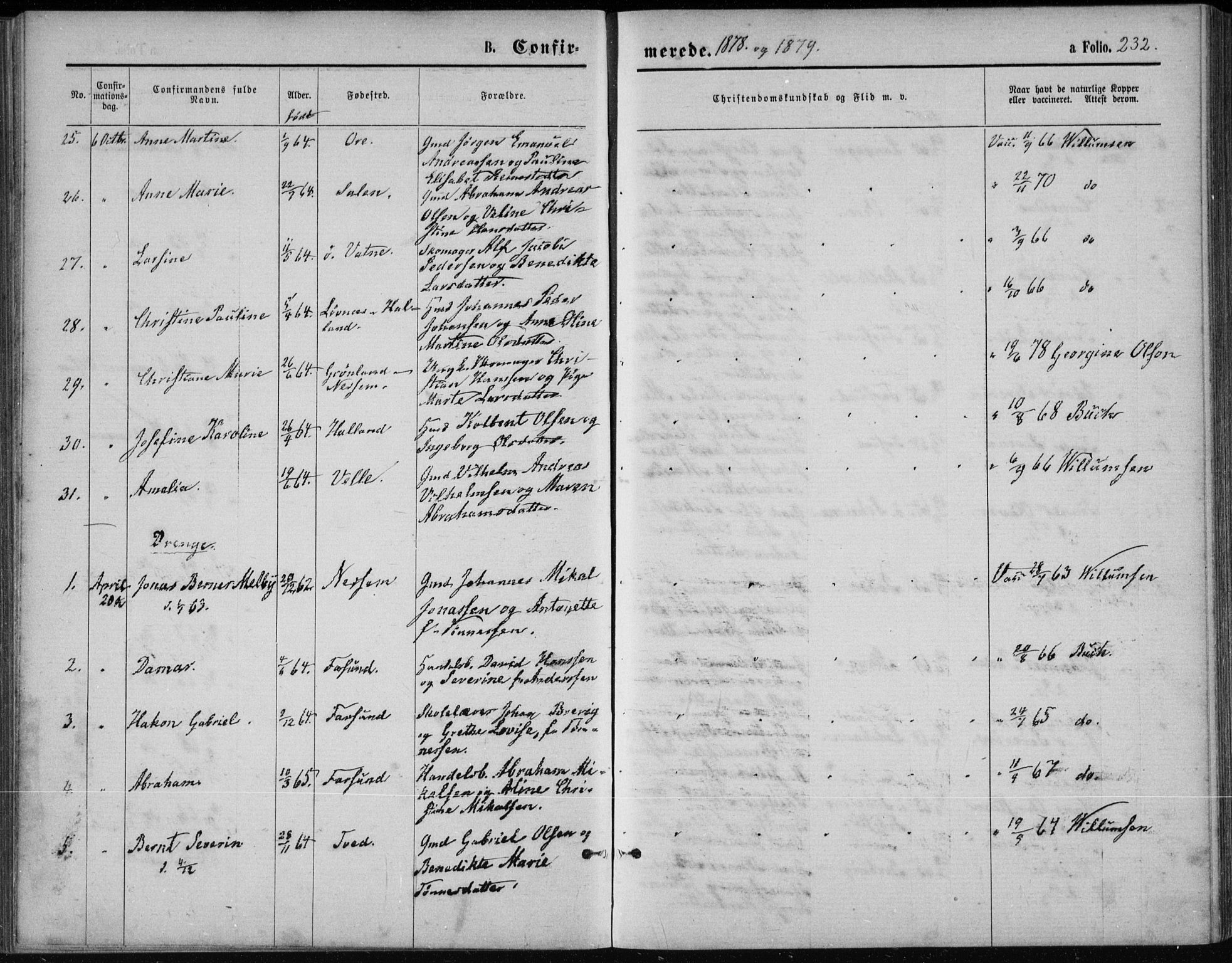 Lista sokneprestkontor, AV/SAK-1111-0027/F/Fb/L0004: Parish register (copy) no. B 4, 1877-1891, p. 232